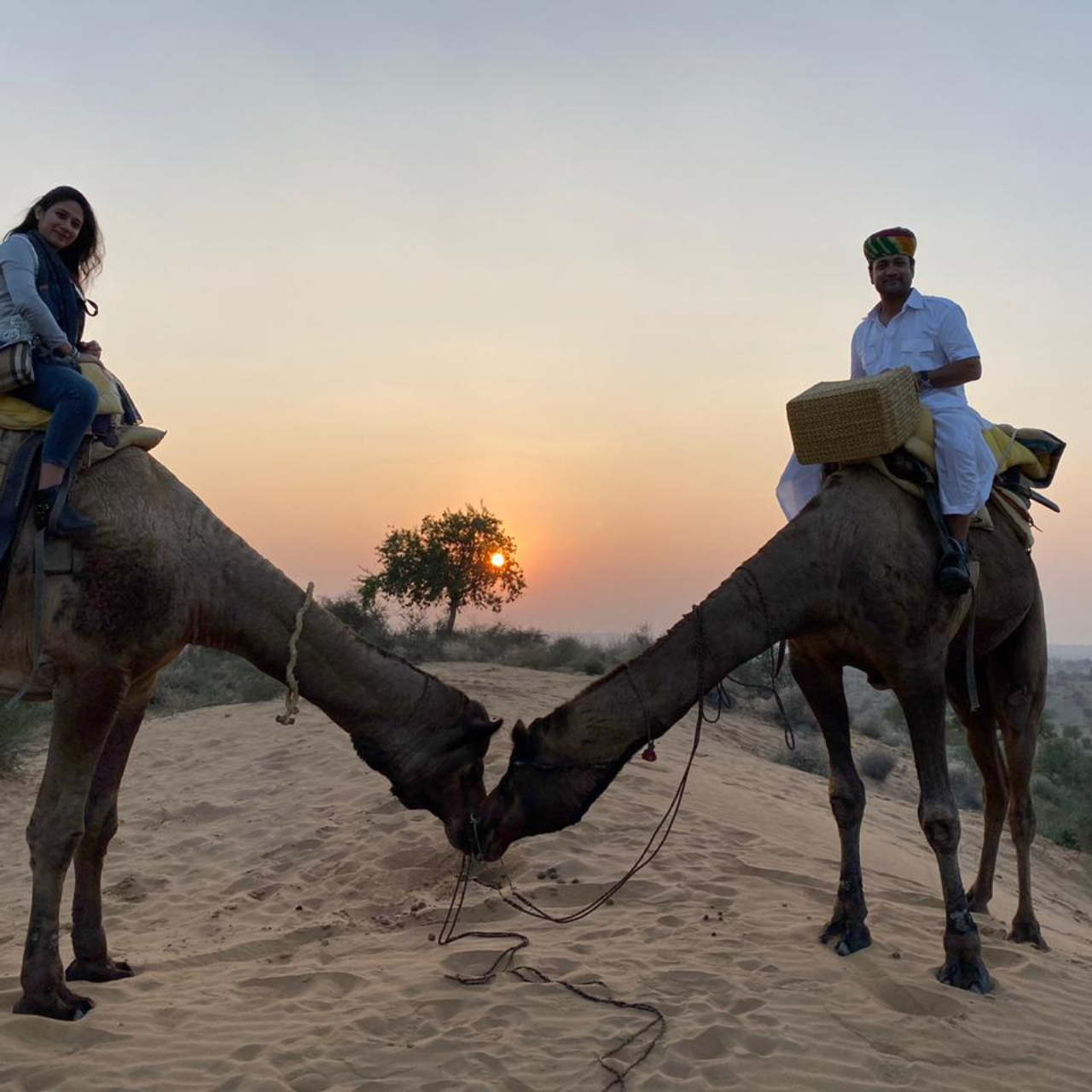 Thar Desert Overnight Camel Safari & Village Stay