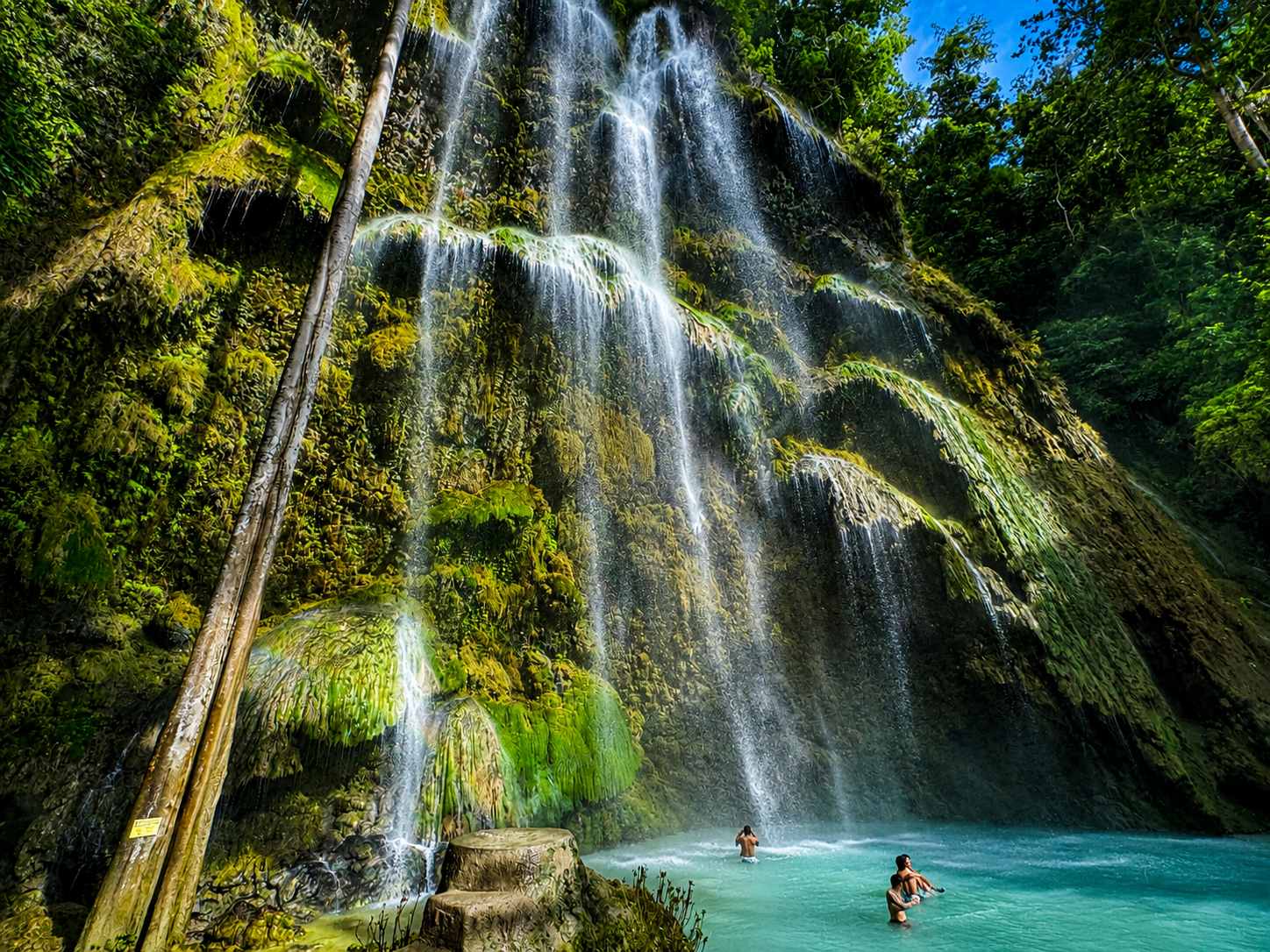 Cebu: Whale Sharks, Tumalog Falls & Sumilon Island Day Tour