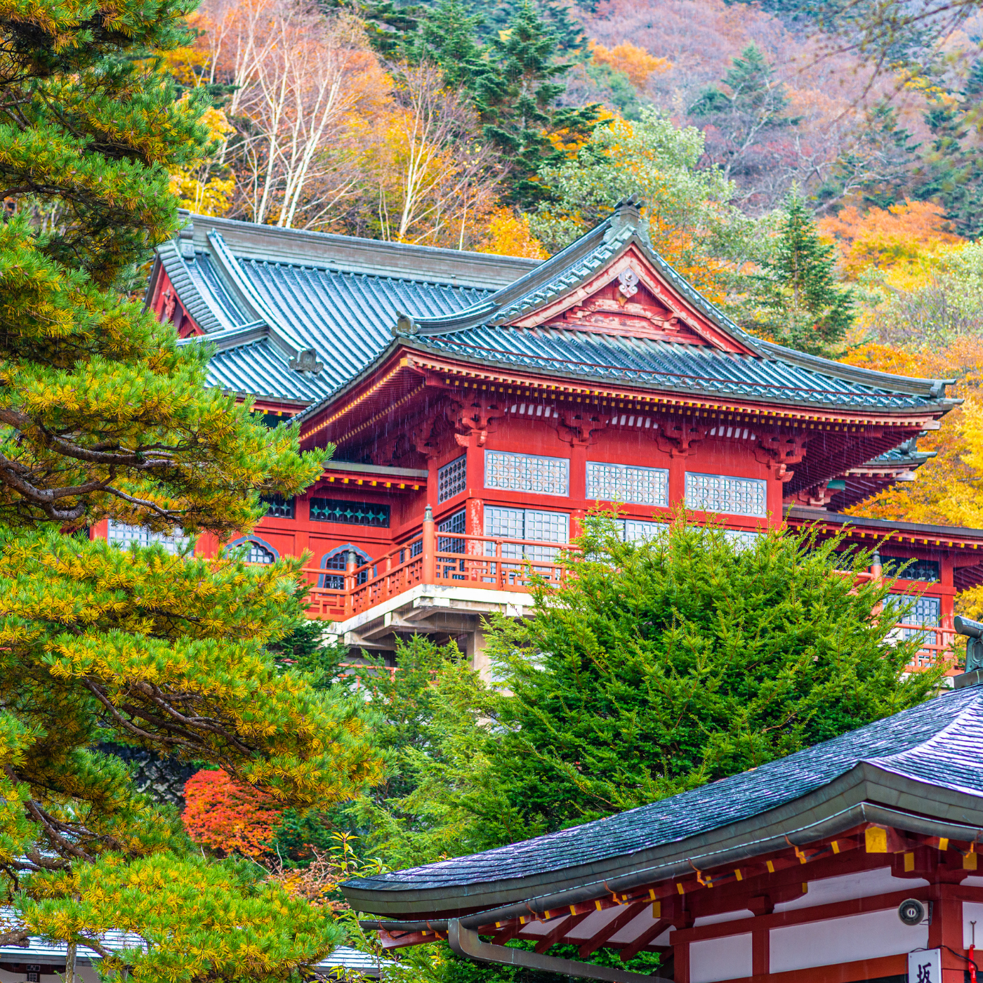 Private Nikko Day Tour from Tokyo – Fully Customizable