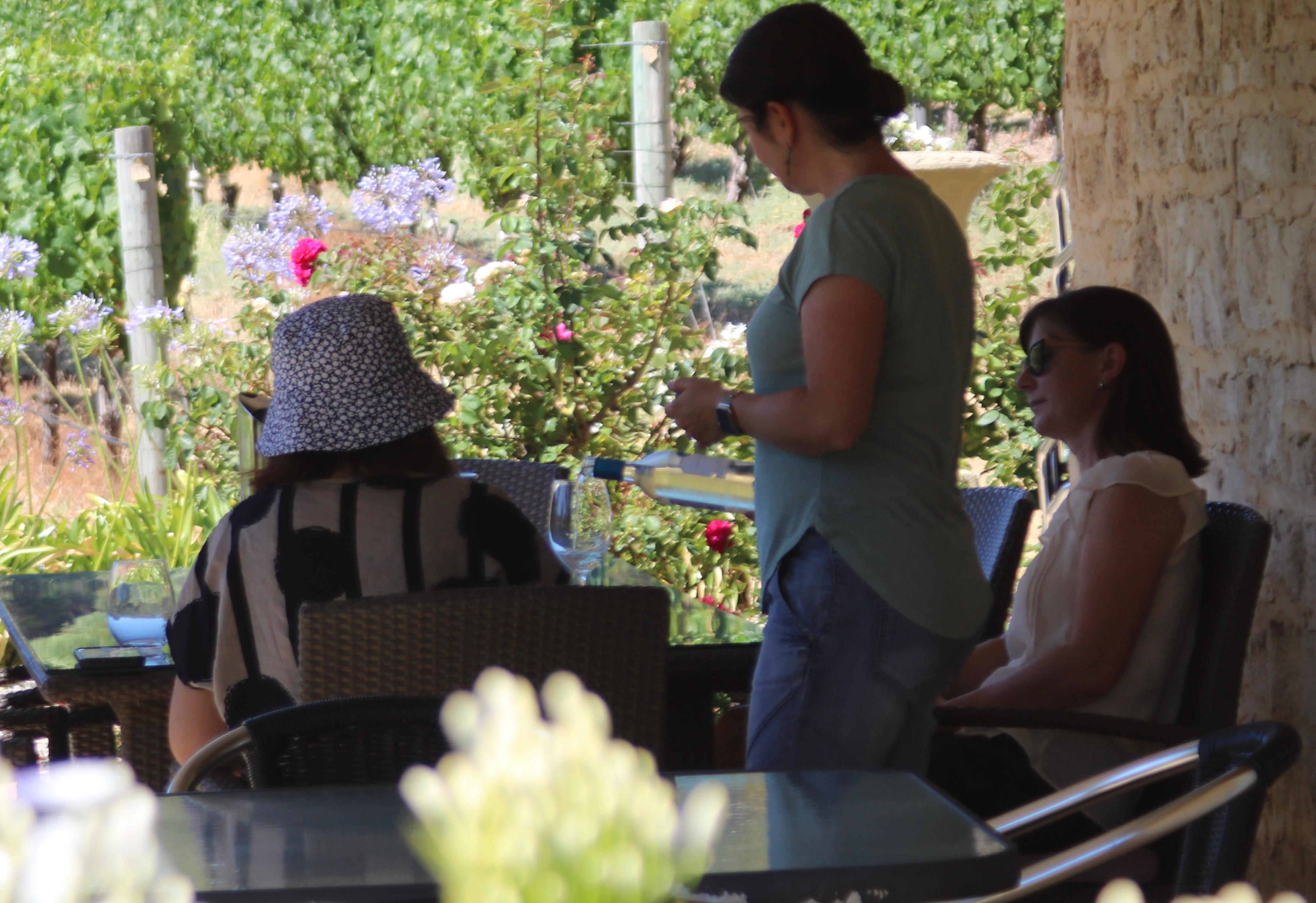 Busselton Wine & Coastal Discovery