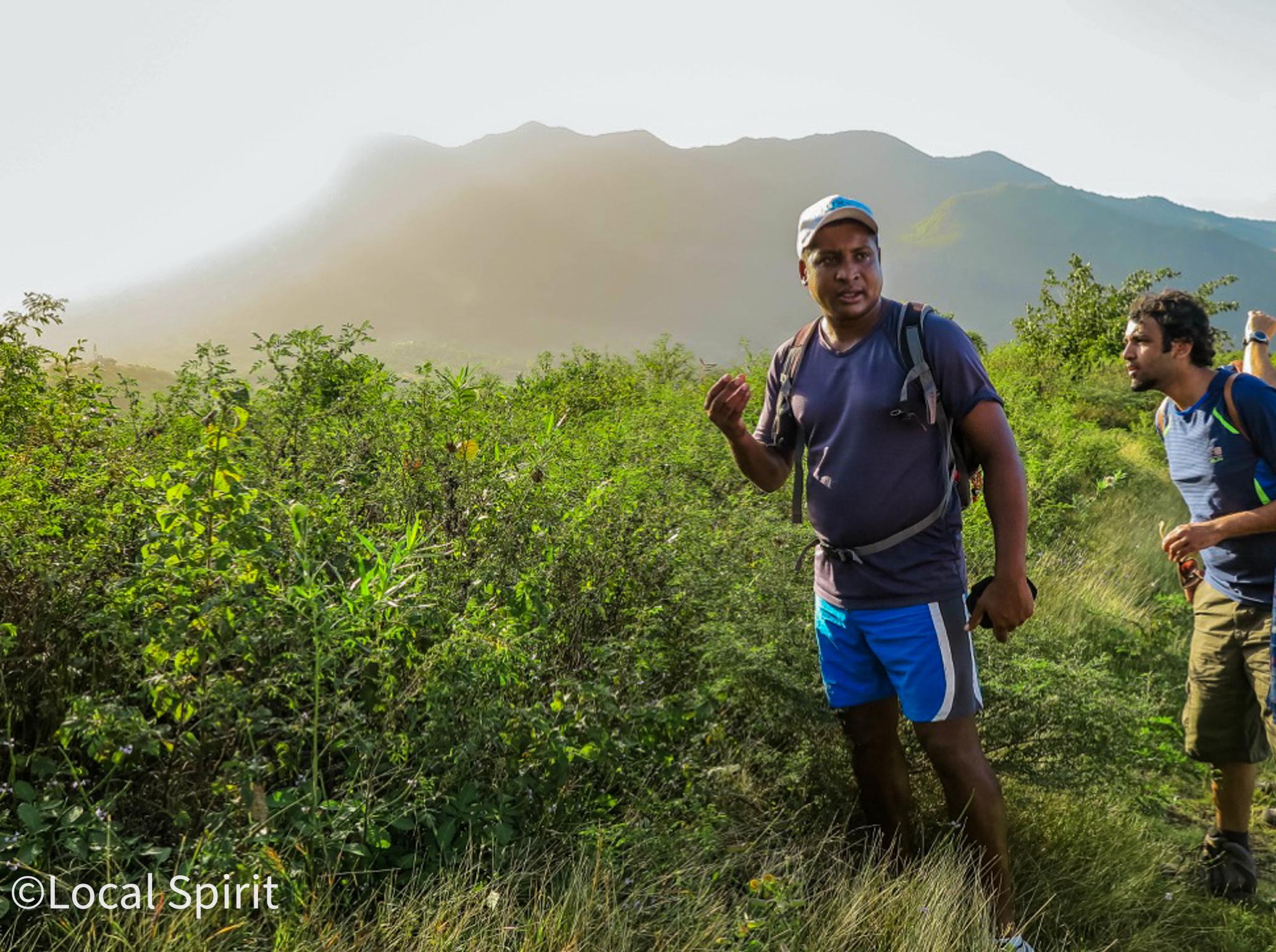 Le Morne Brabant: UNESCO Heritage Guided Hike