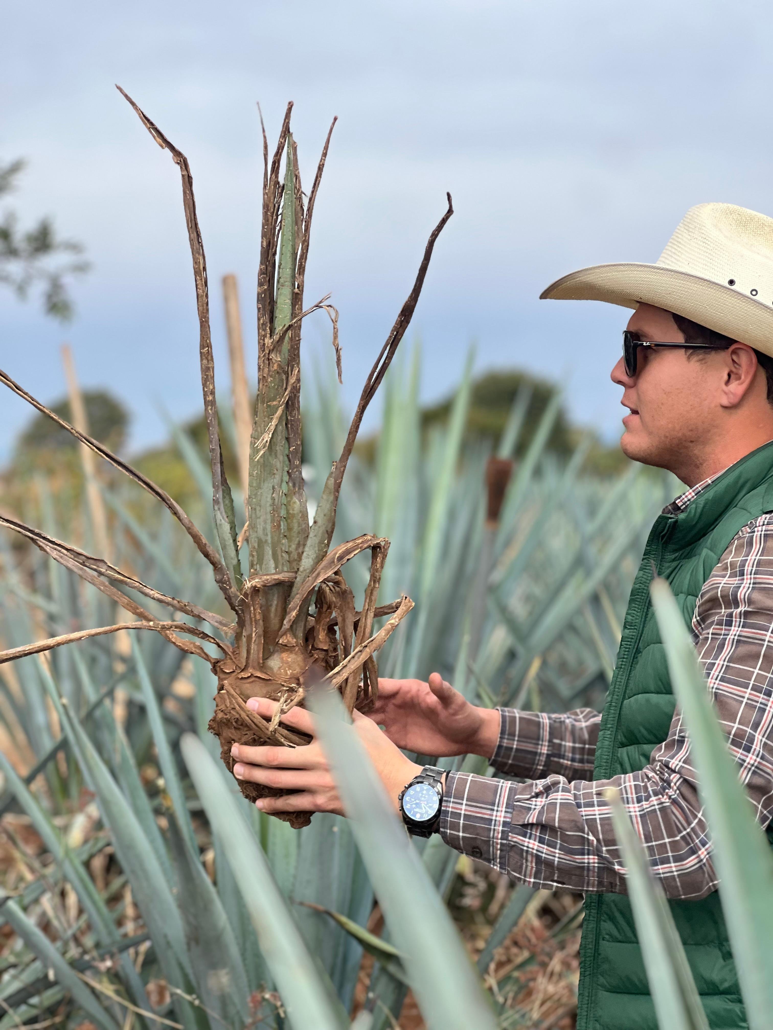 tequila tour in Guadalajara — photo 13