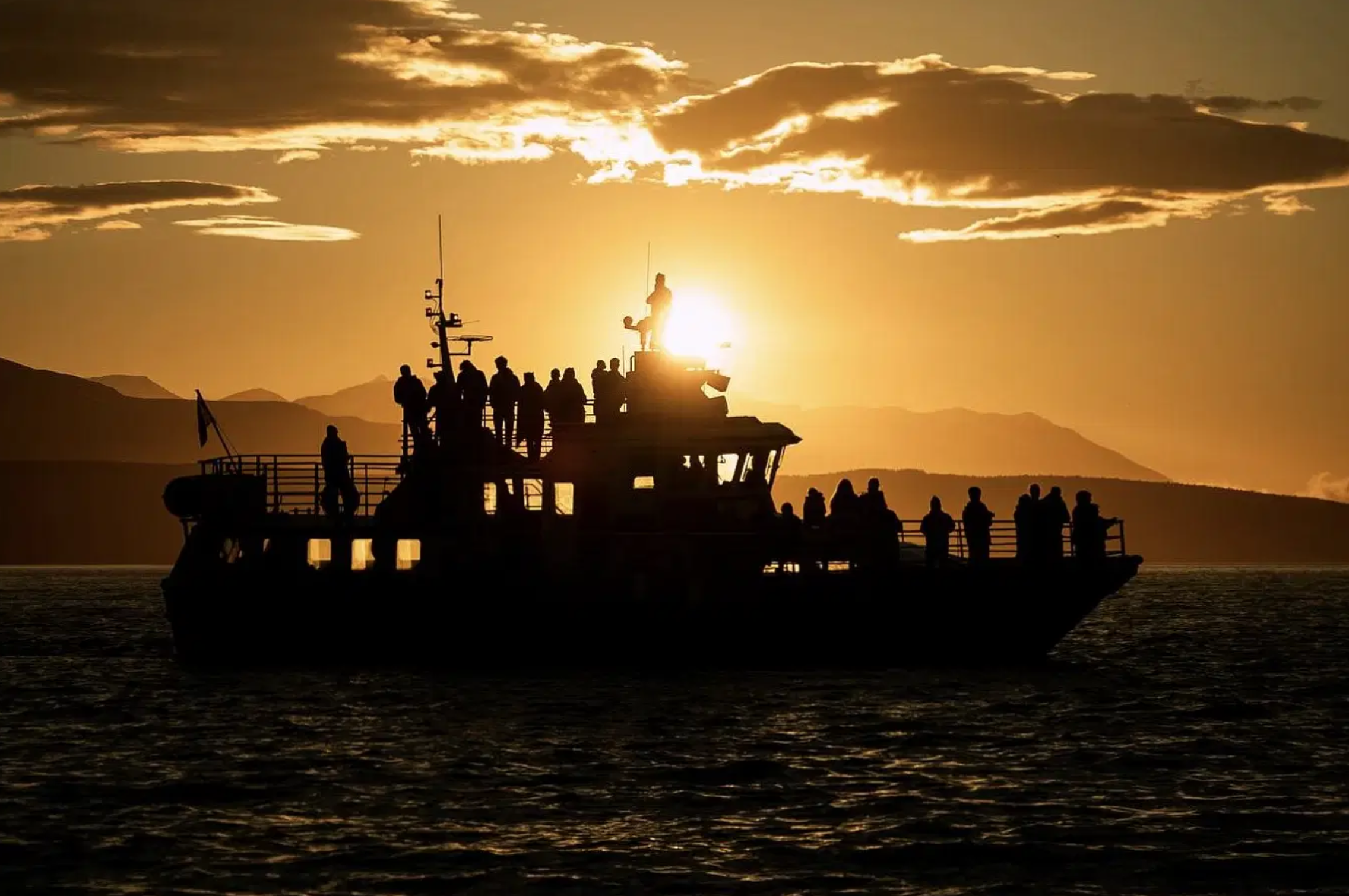 Akureyri Midnight Sun Whale Watching Cruise