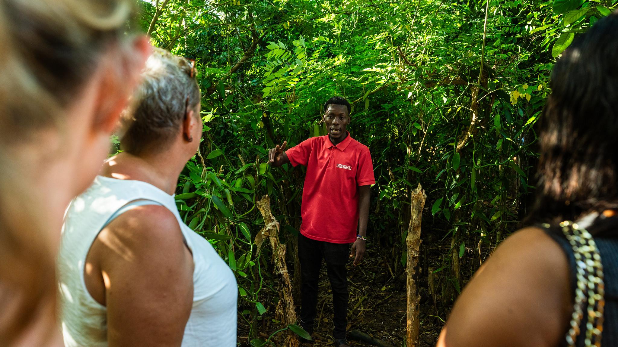 Zanzibar Full-Day Discovery: Stone Town, Spice Farm & Prison Island
