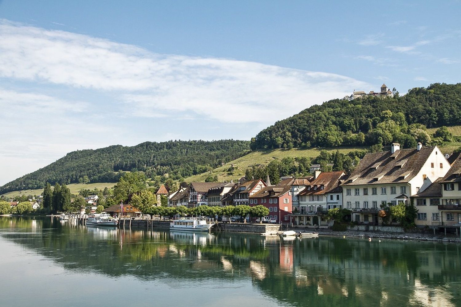 From Zurich: Stein am Rhein and Rhine Falls