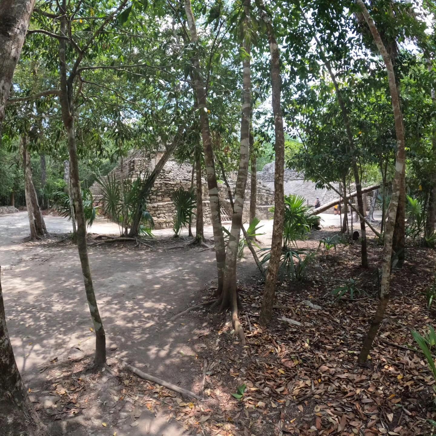 Deluxe Tulum, Coba & 5th Avenue Day Trip