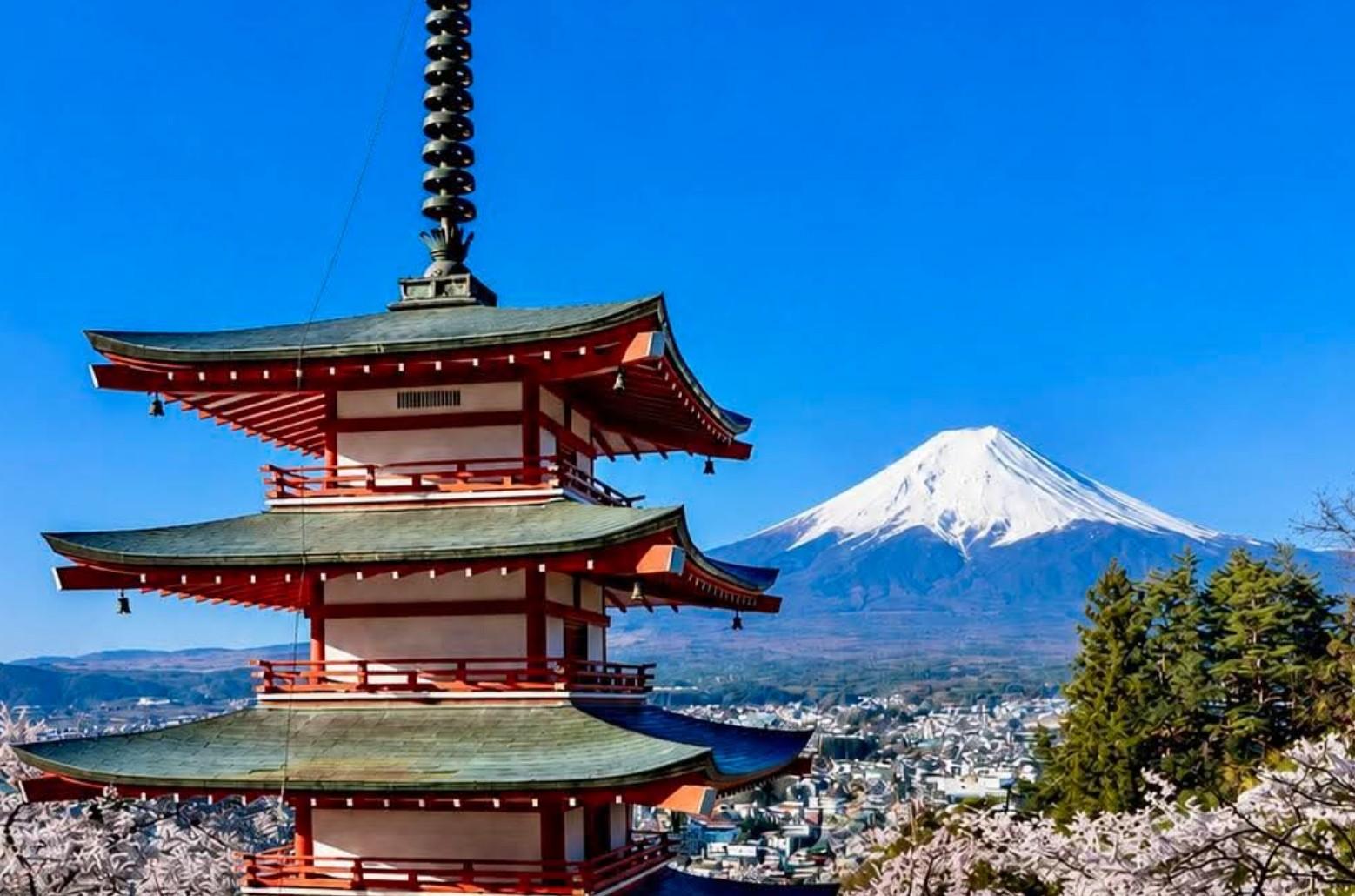 Custom Mt. Fuji & Hakone Private Full-Day Tour from Tokyo