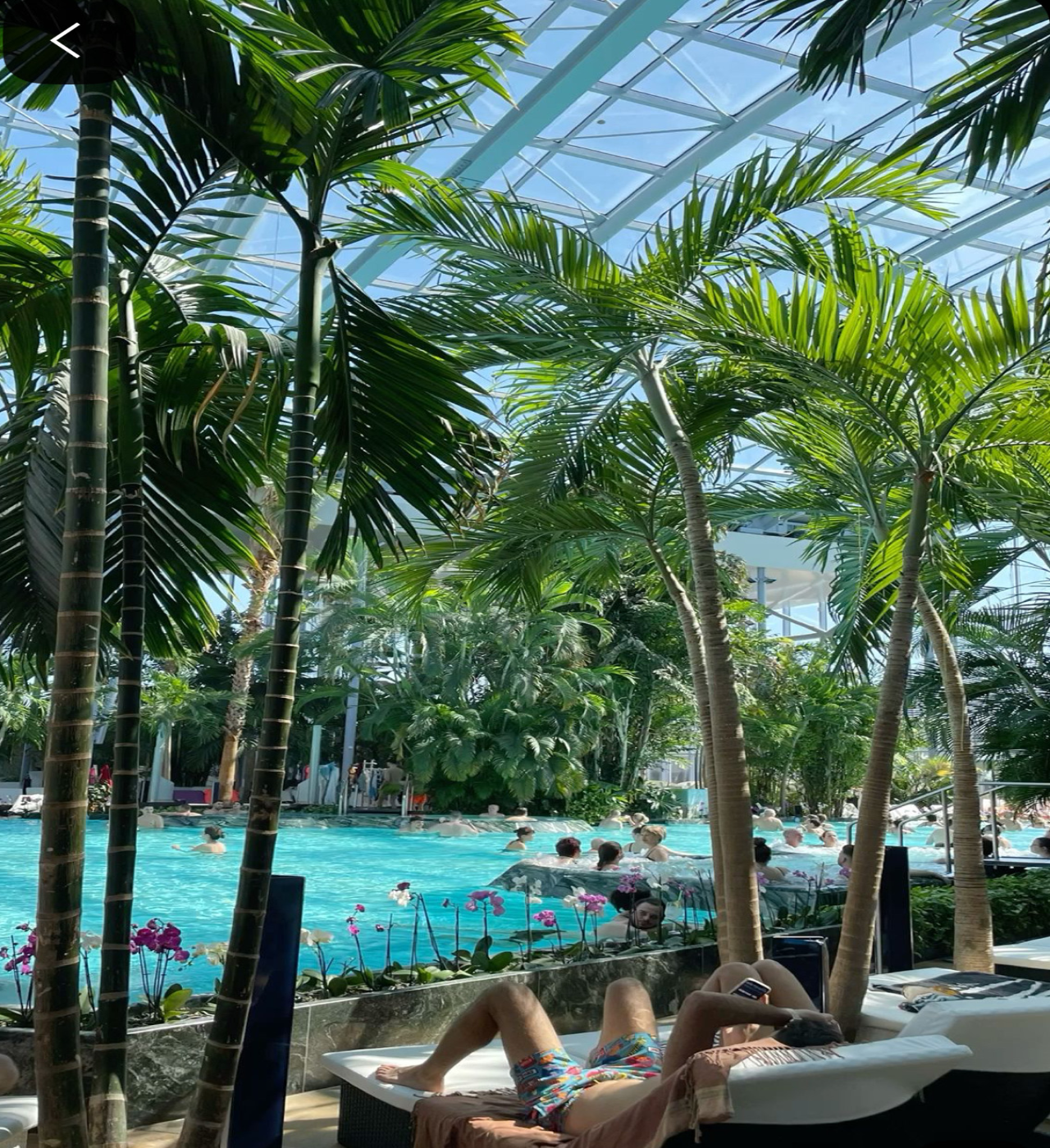Therme Bucharest: Official Wellness & Thermal Spa Entry