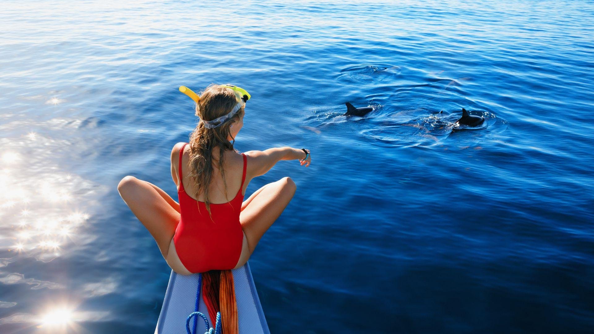 Lovina Dolphin Watching, Snorkeling & Waterfall Adventure