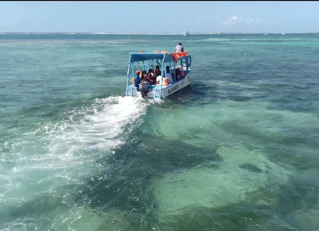 Glass-Bottom Boat Adventure to Robinson Island