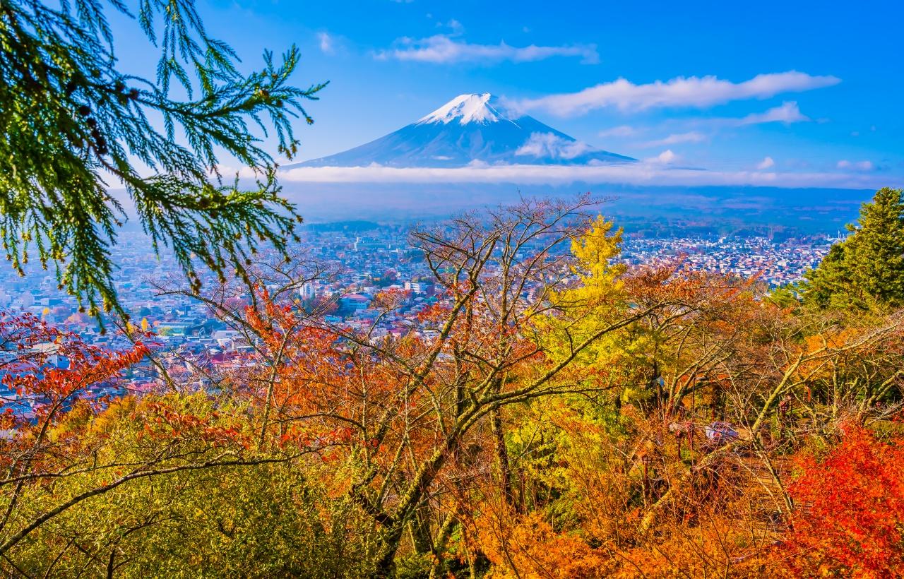 Mt. Fuji Scenic Highlights & Lake Kawaguchi Day Trip from Tokyo