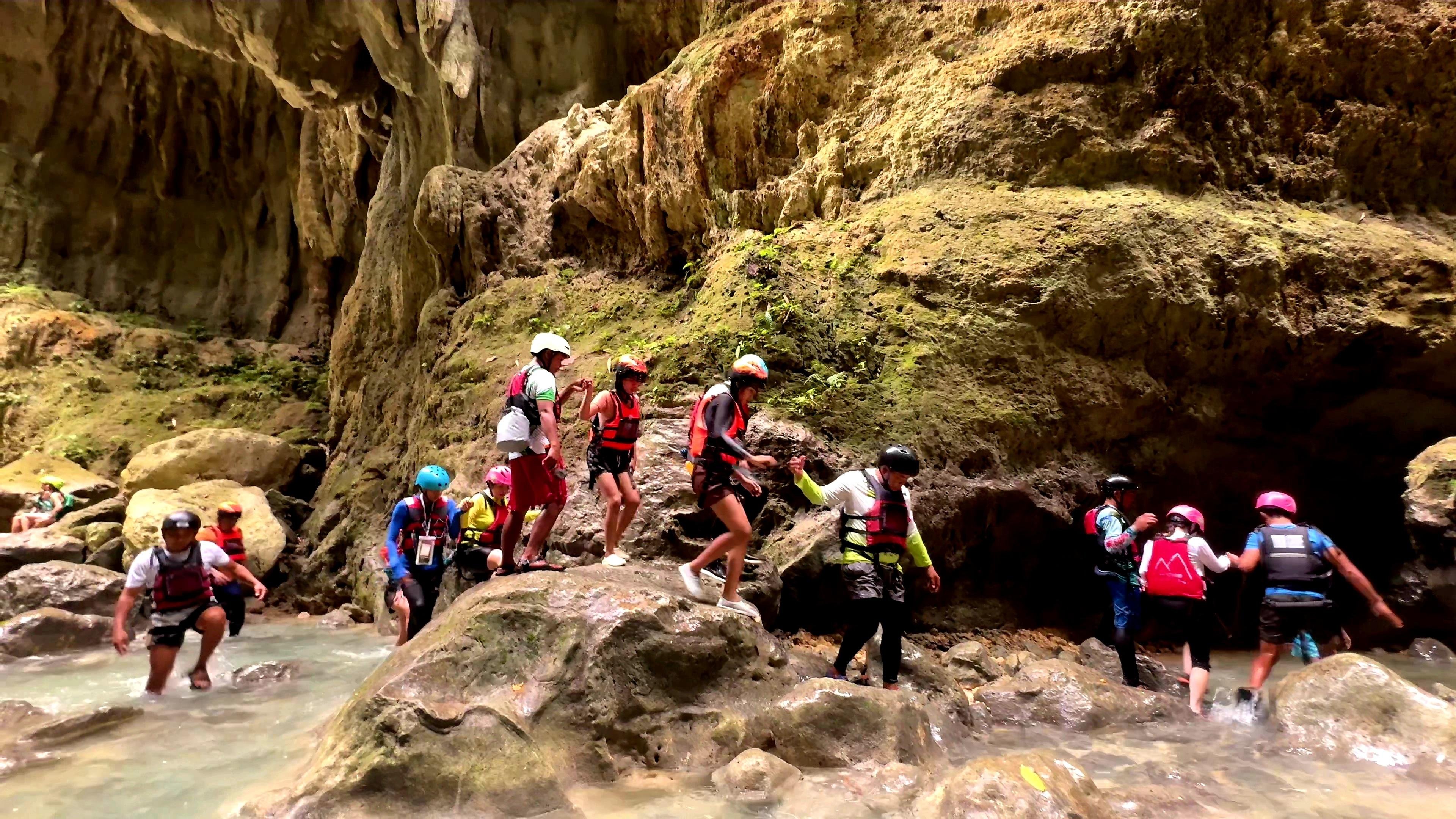 Cebu: Whale Shark Swim & Kawasan Falls Canyoneering Day Tour