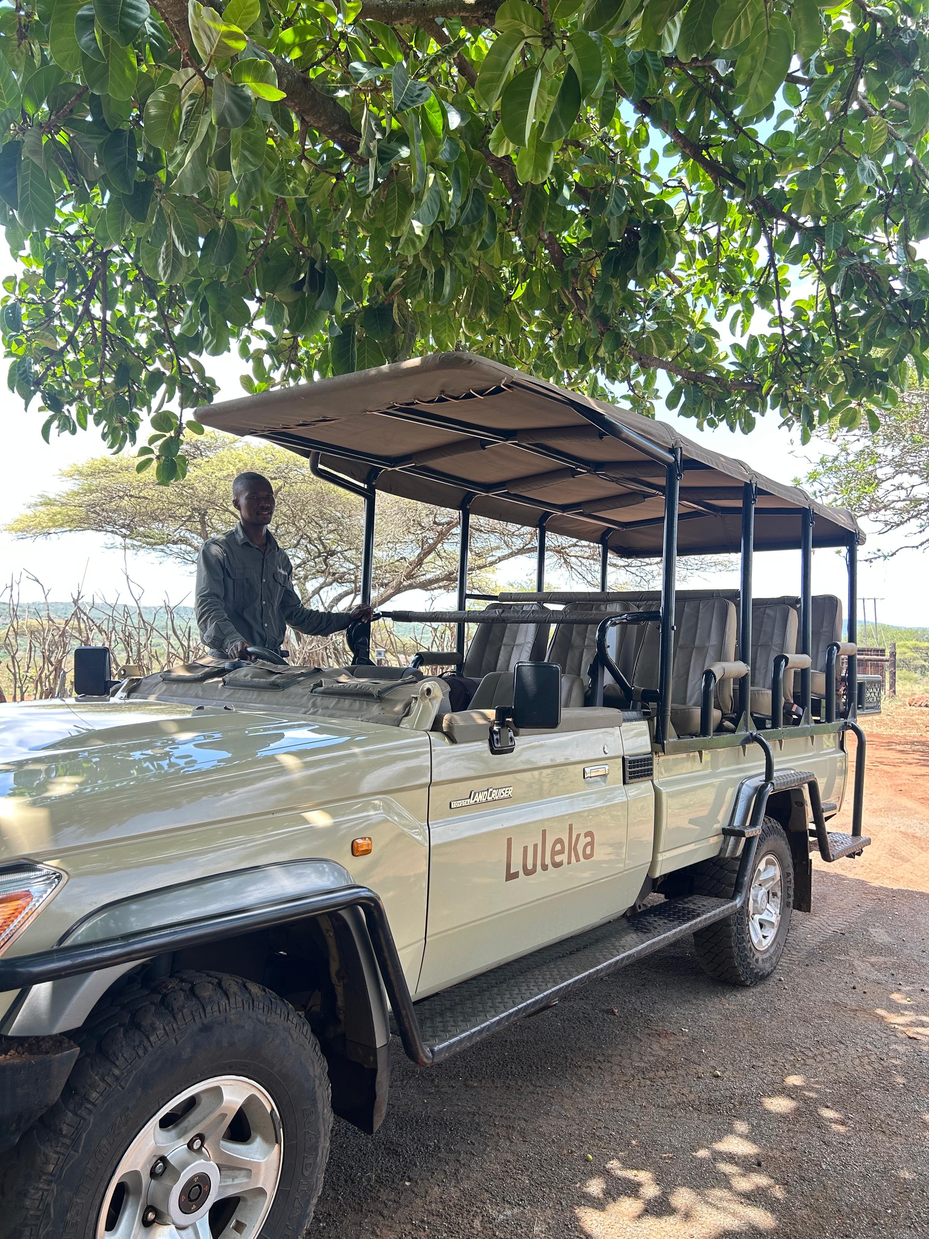Full-Day Big Five Safari: Manyoni & Hluhluwe-Imfolozi Reserves