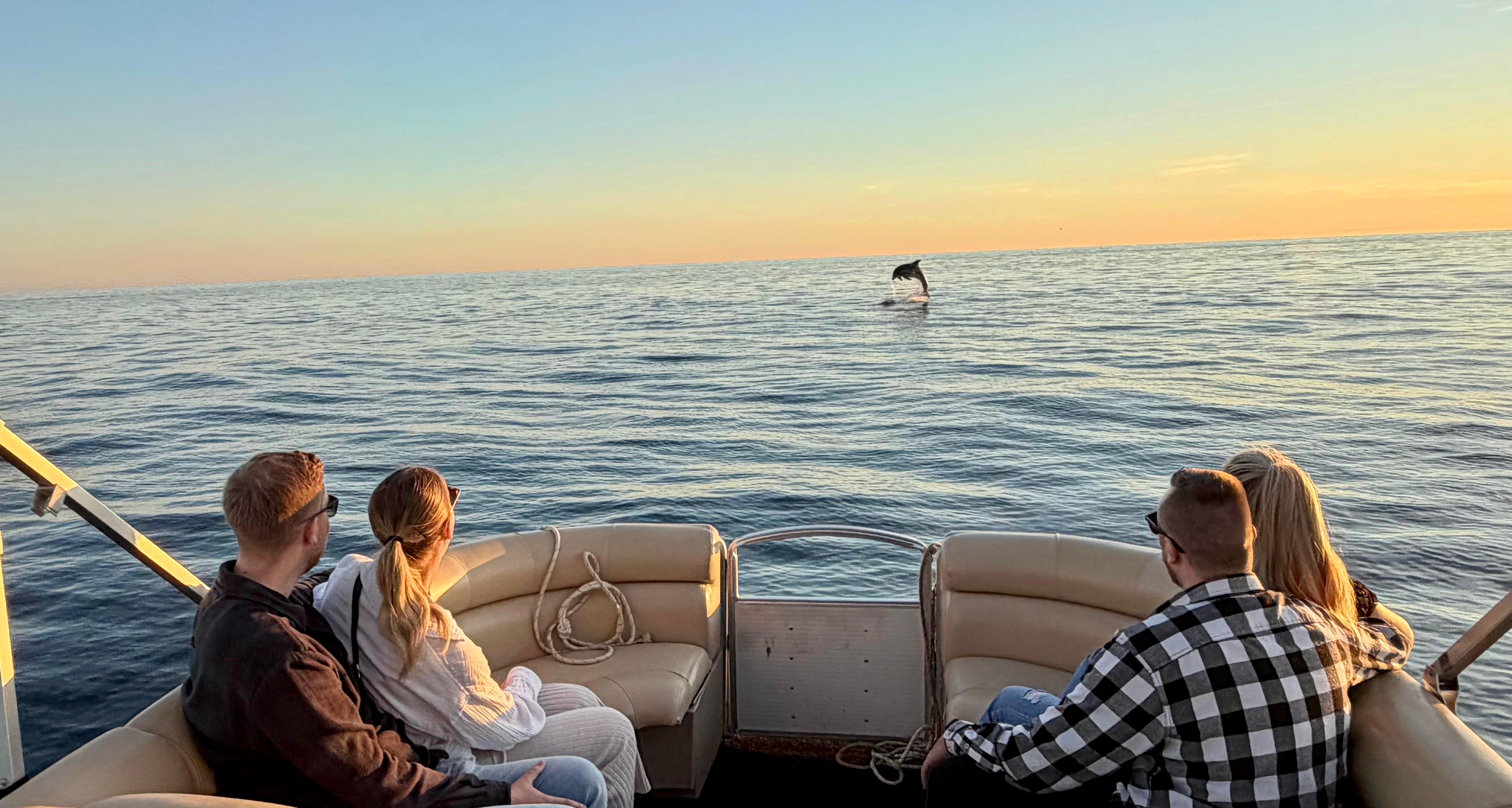 Private Dolphin Watching & Sunset Cruise in Poreč