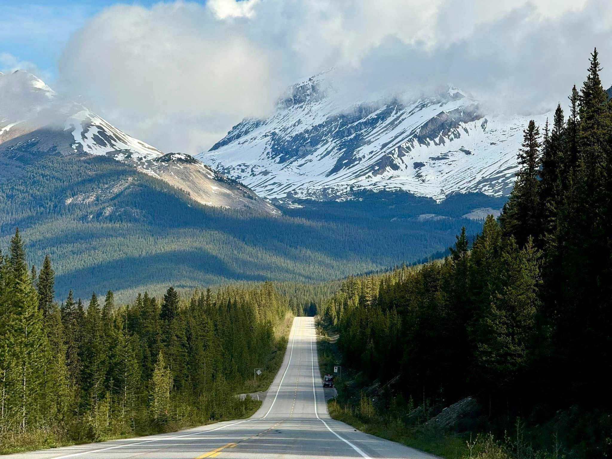 Icefields Parkway tour from Calgary — Columbia Icefield, Peyto Lake and Glacier Skywalk — image 8