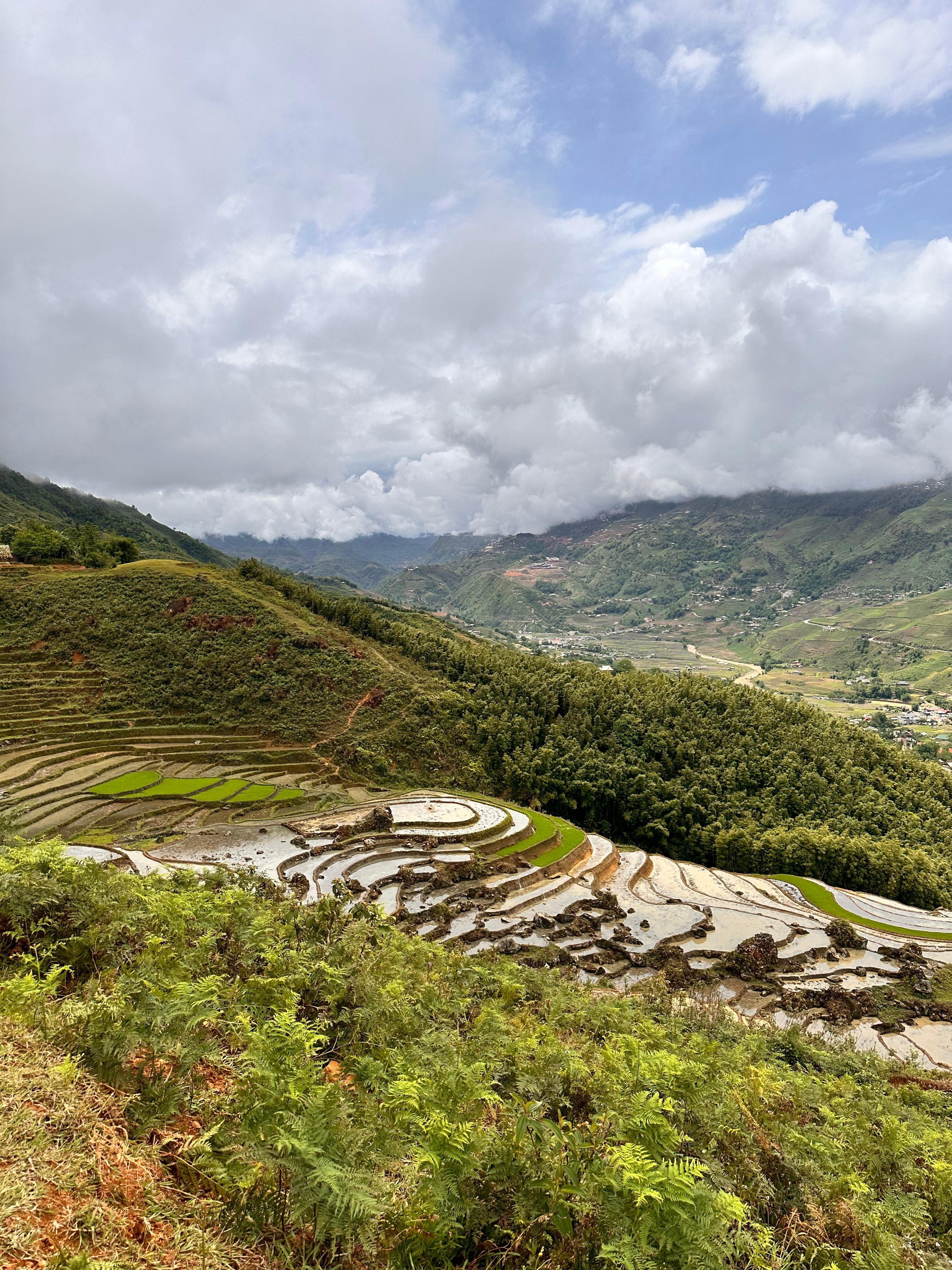 Sapa 2-day trek — Muong Hoa Valley rice terraces and ethnic-minority villages — image 11