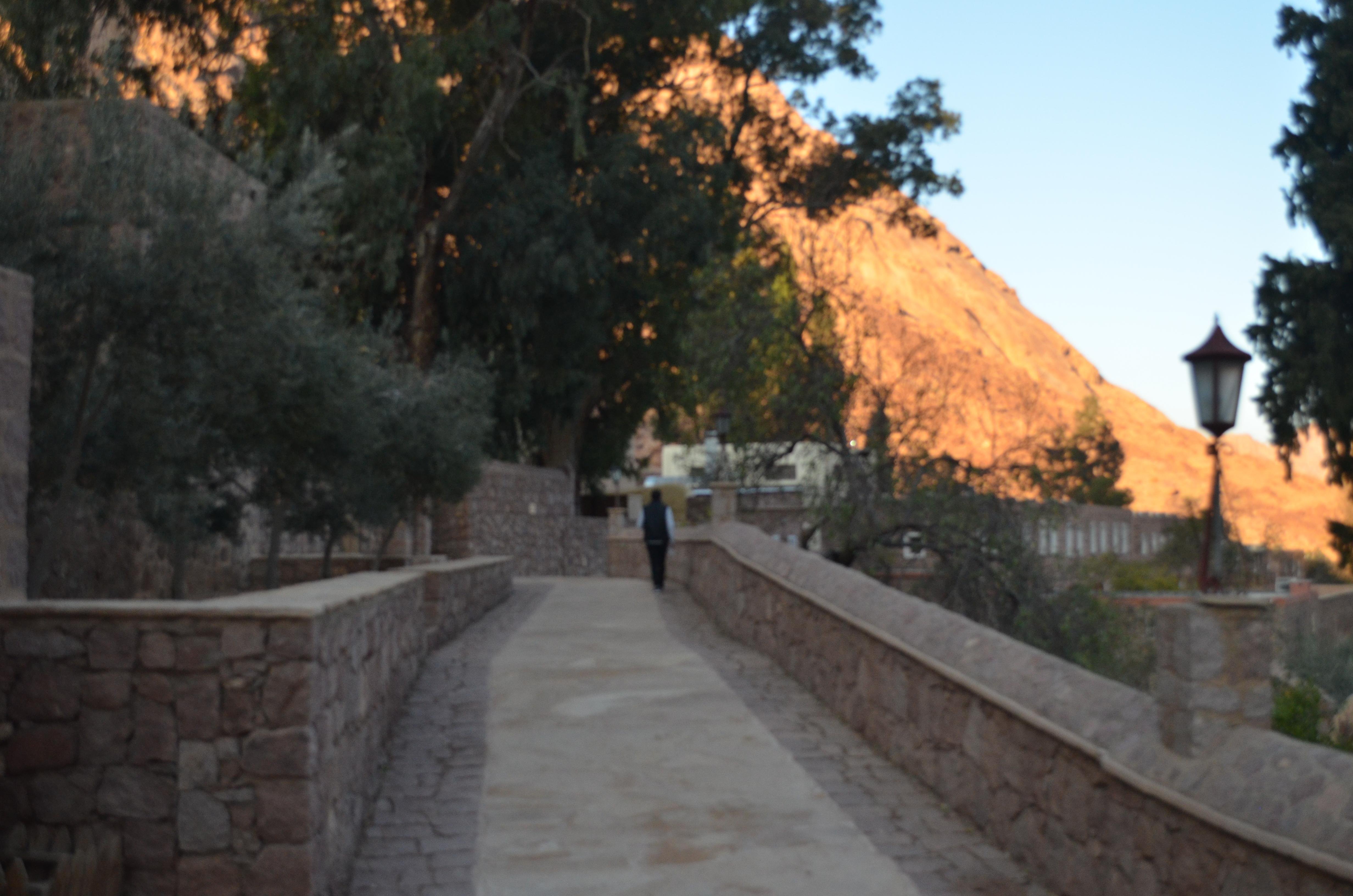 Sharm El Sheikh: Private Day Tour to Saint Catherine's Monastery