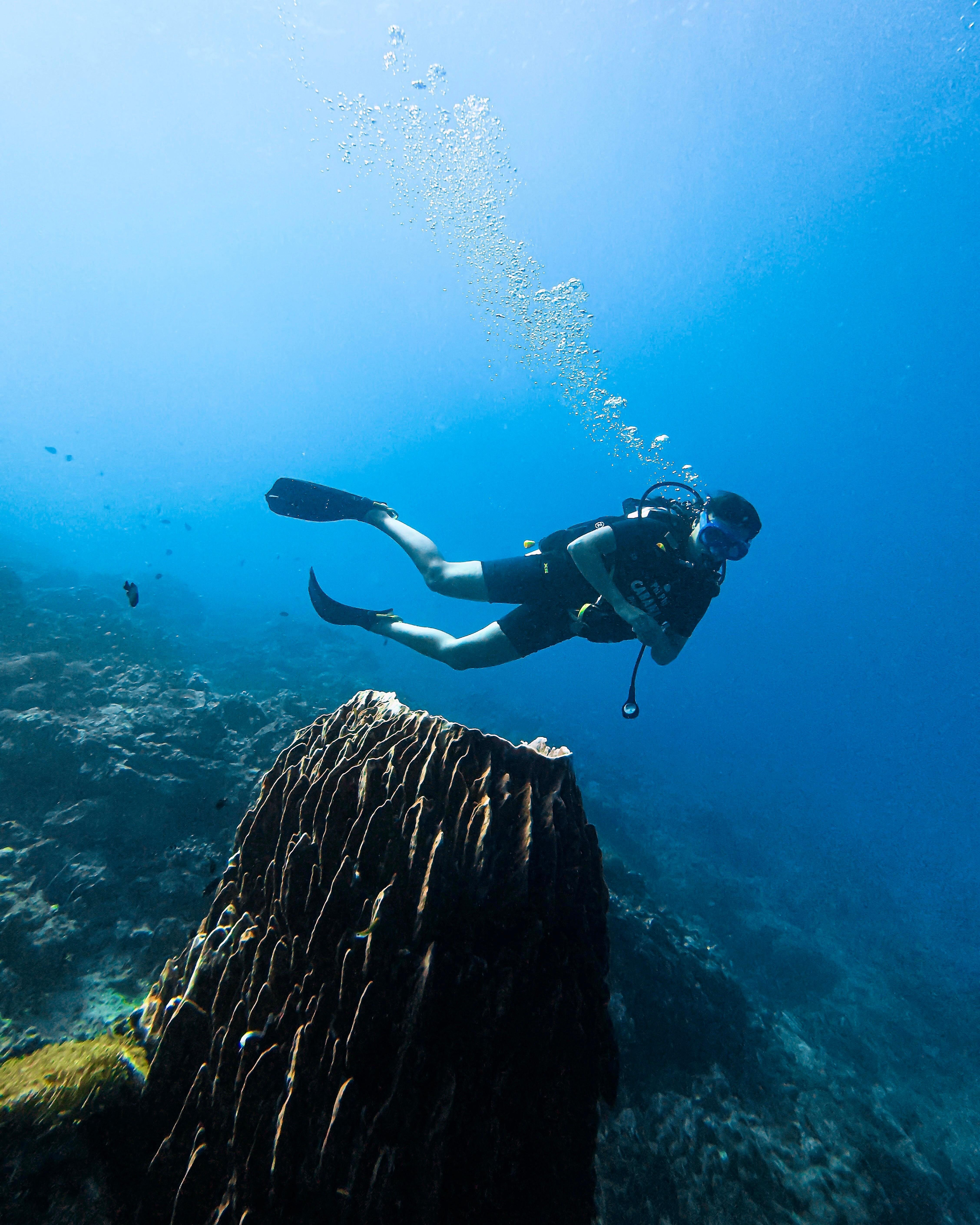 Koh Phi Phi Certified Diver Fun Dive Experience
