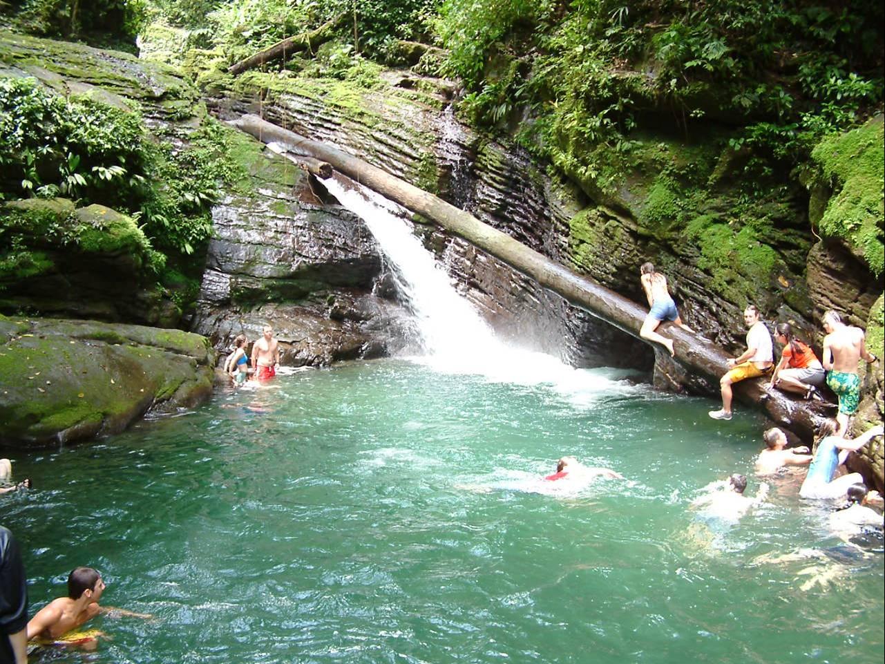 Pacuare River Whitewater Rafting: Class III–IV Rapids Day Trip from San José