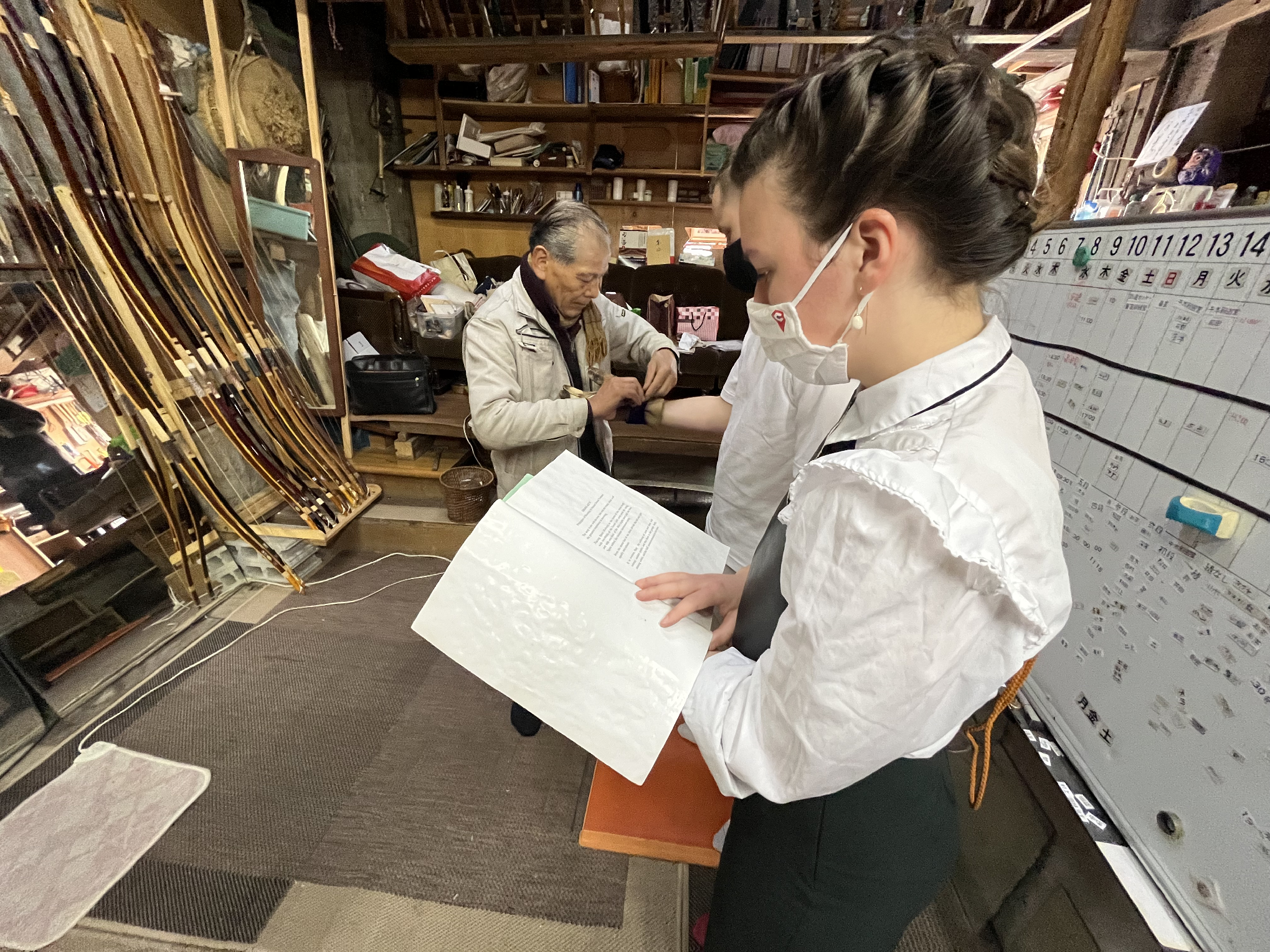 Kyoto experience — temples, geisha, bamboo grove — image 14