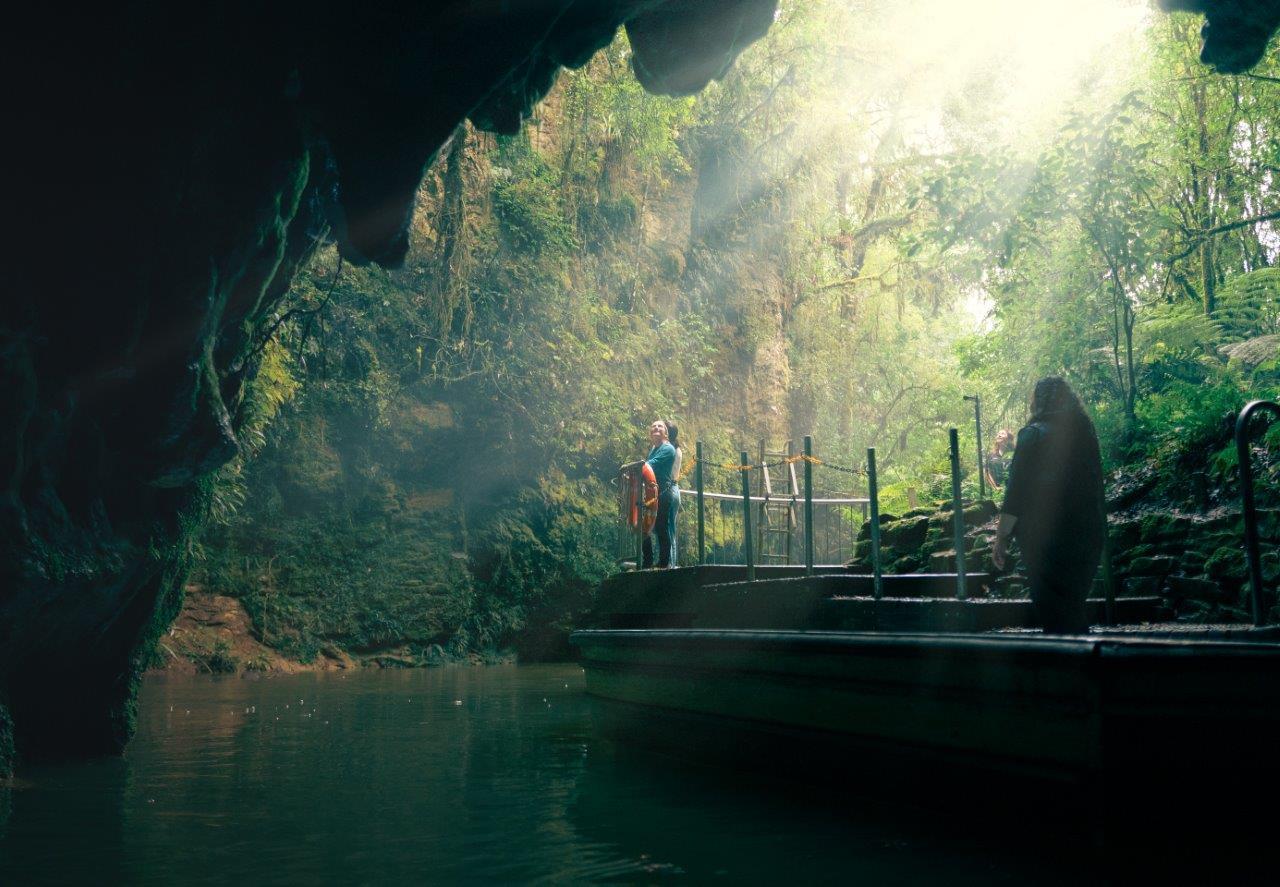 Auckland to Rotorua Transfer via Waitomo Glowworm Caves