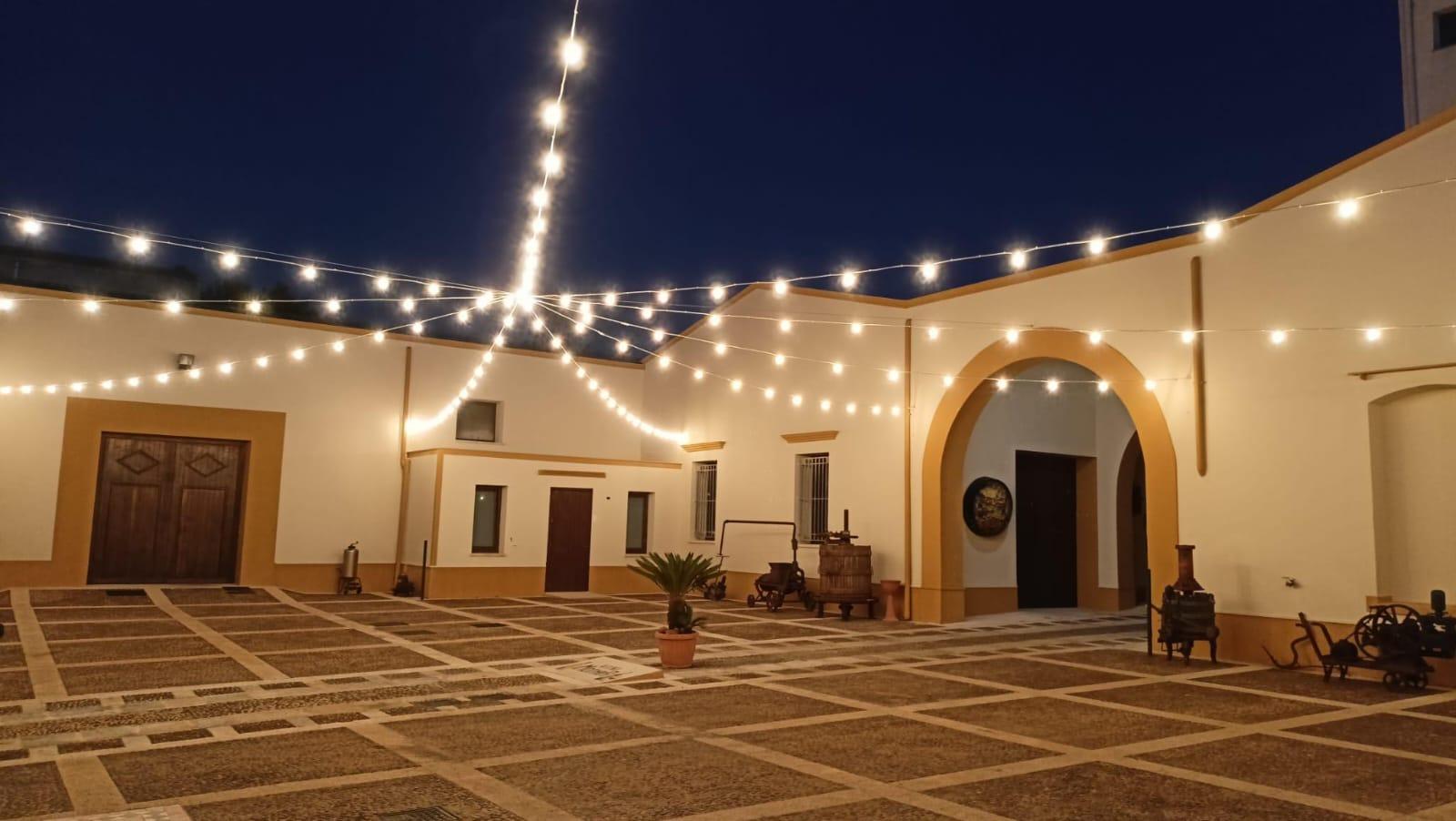 Evening Wine Cellar Tour & Sicilian Tasting Experience