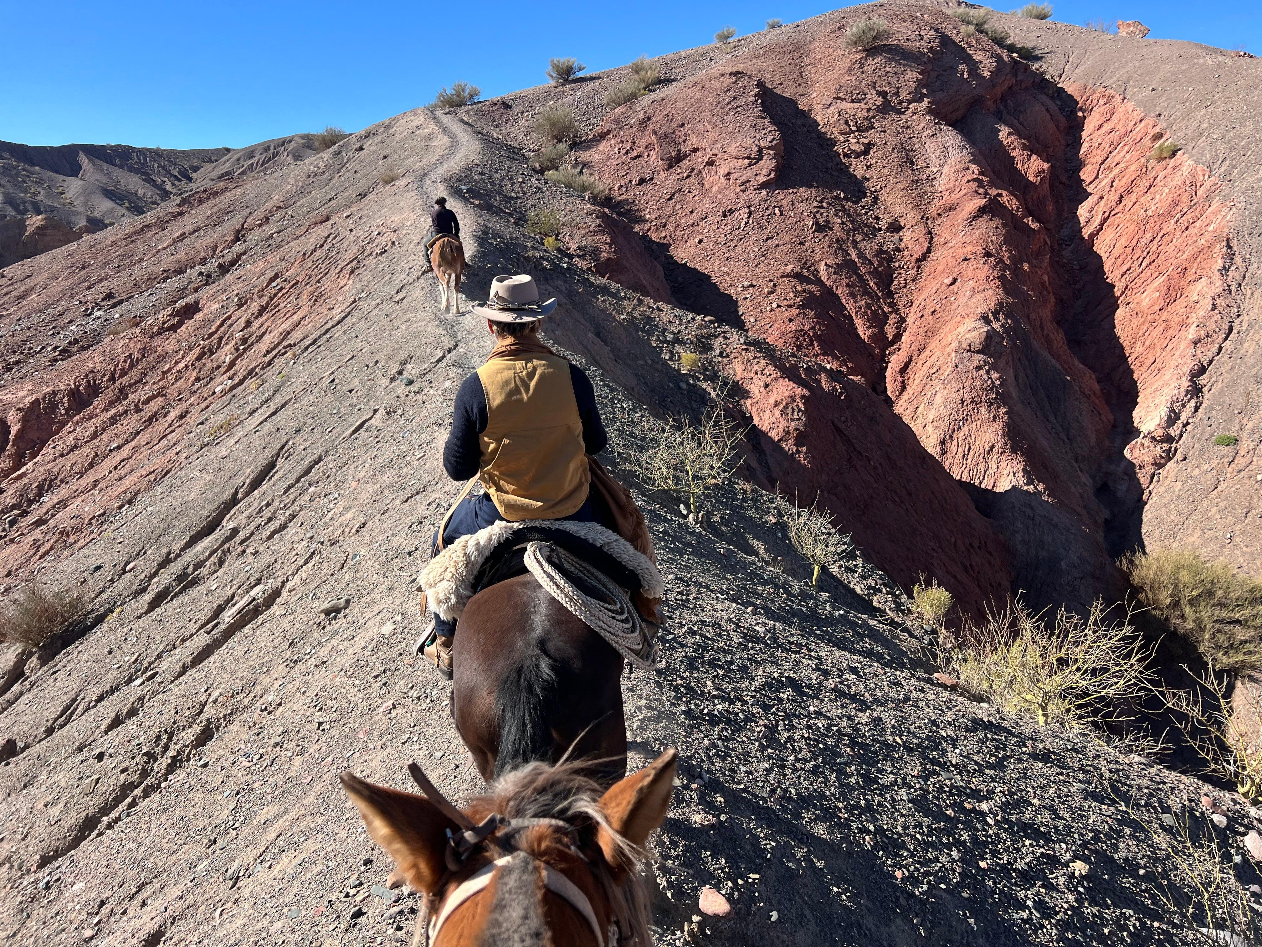 Nomadic Andean Horse Trek