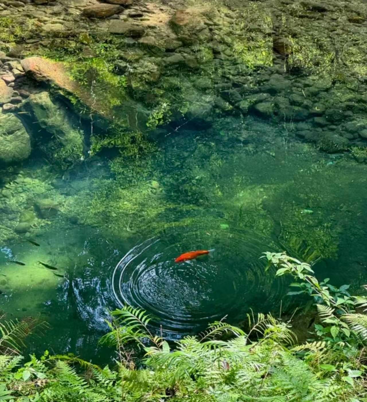 Zhangjiajie National Park Early-Start Hiking Tour