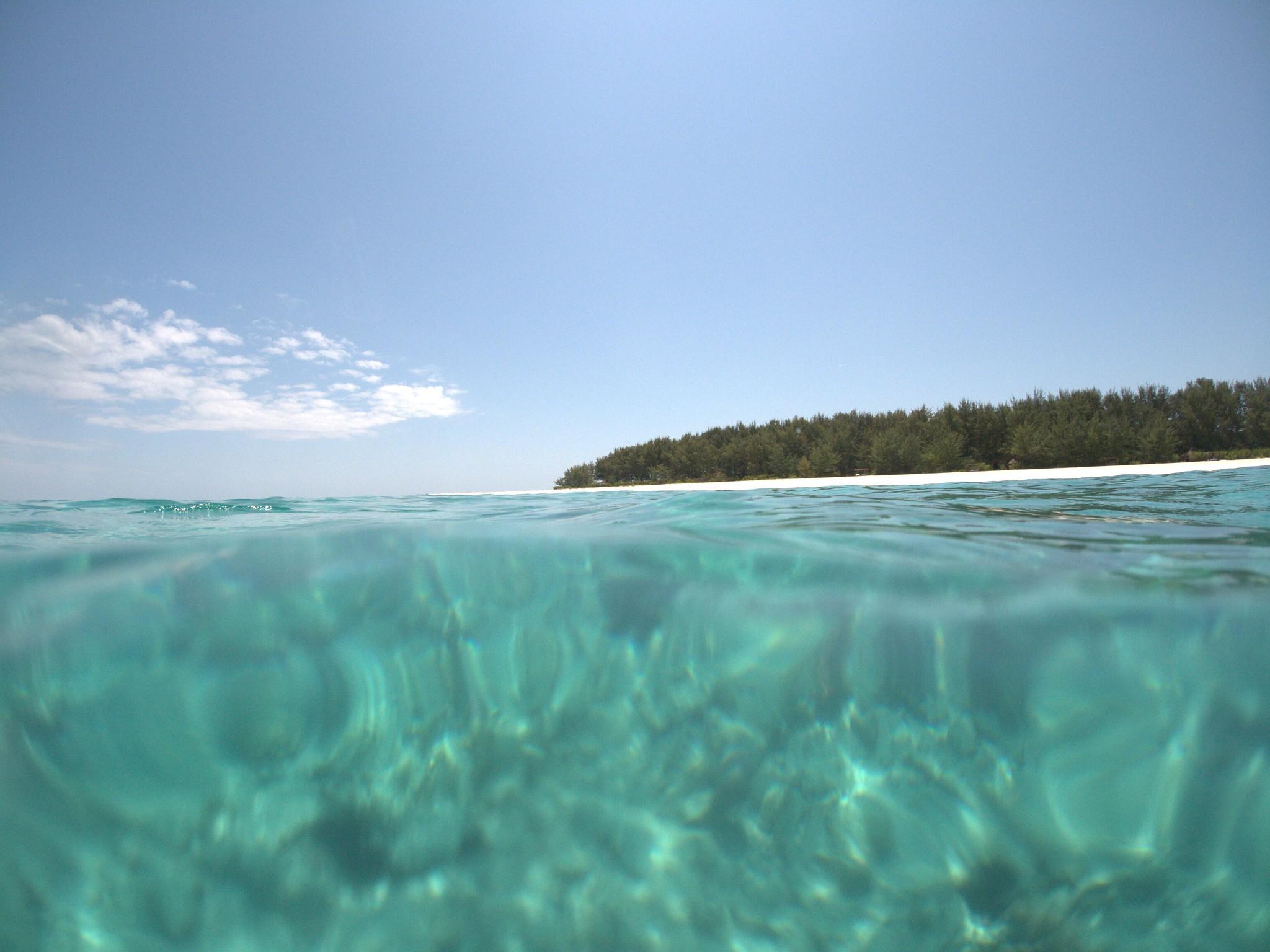 Mnemba Island Dolphin & Snorkel Boat Trip from Matemwe