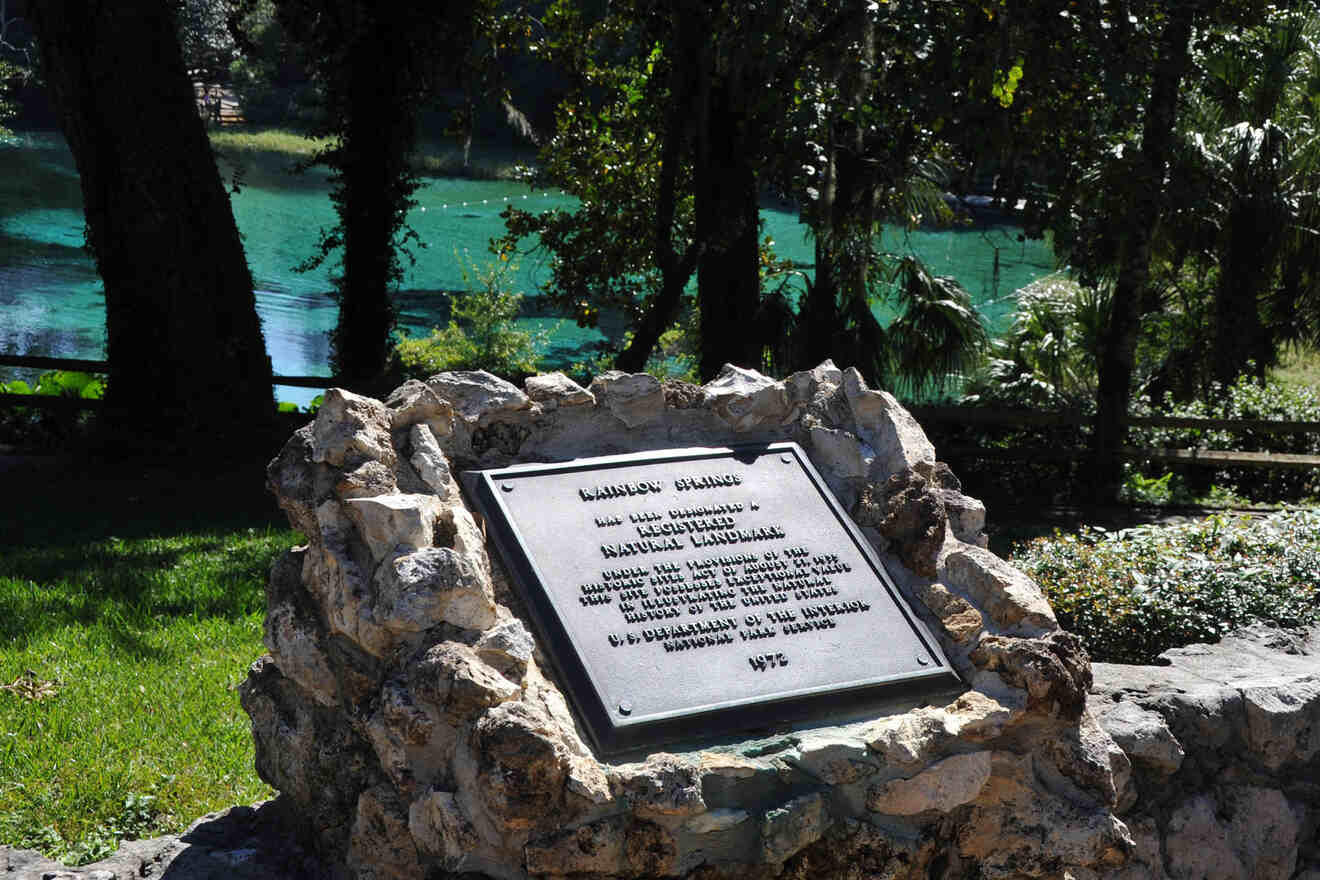 Rainbow Springs Kayak, Swim & Snorkel Adventure
