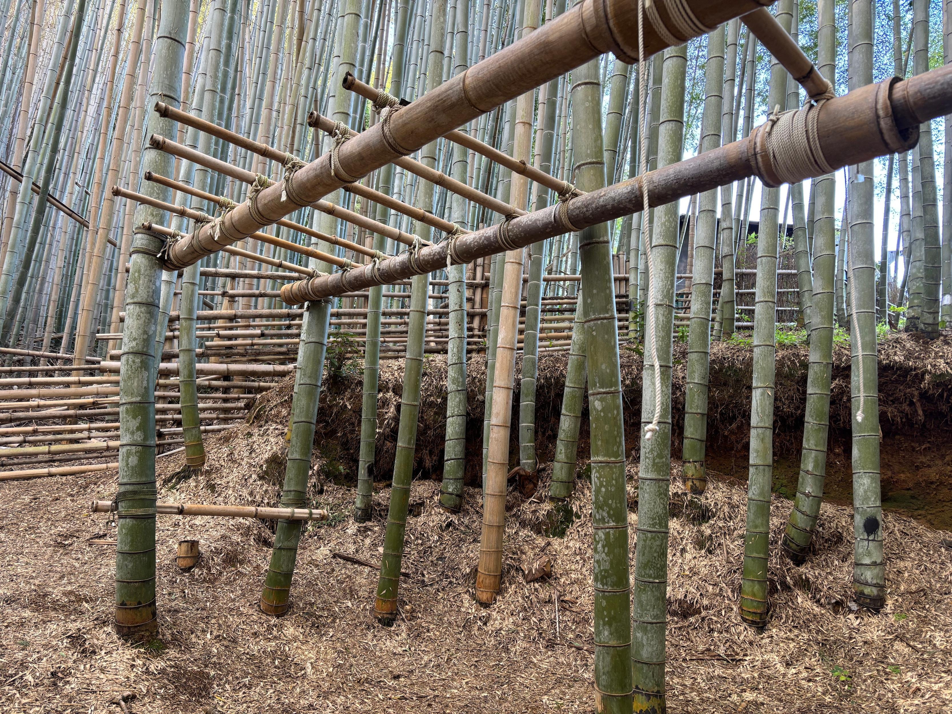 Kyoto Private Bamboo Garden Craft Workshop