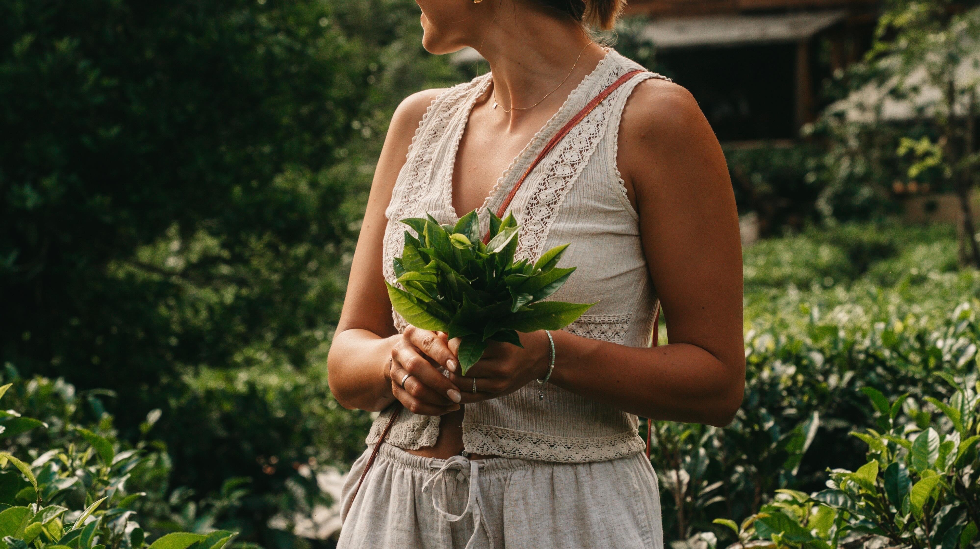 Ella: Hands-On Tea Crafting and Tasting Experience