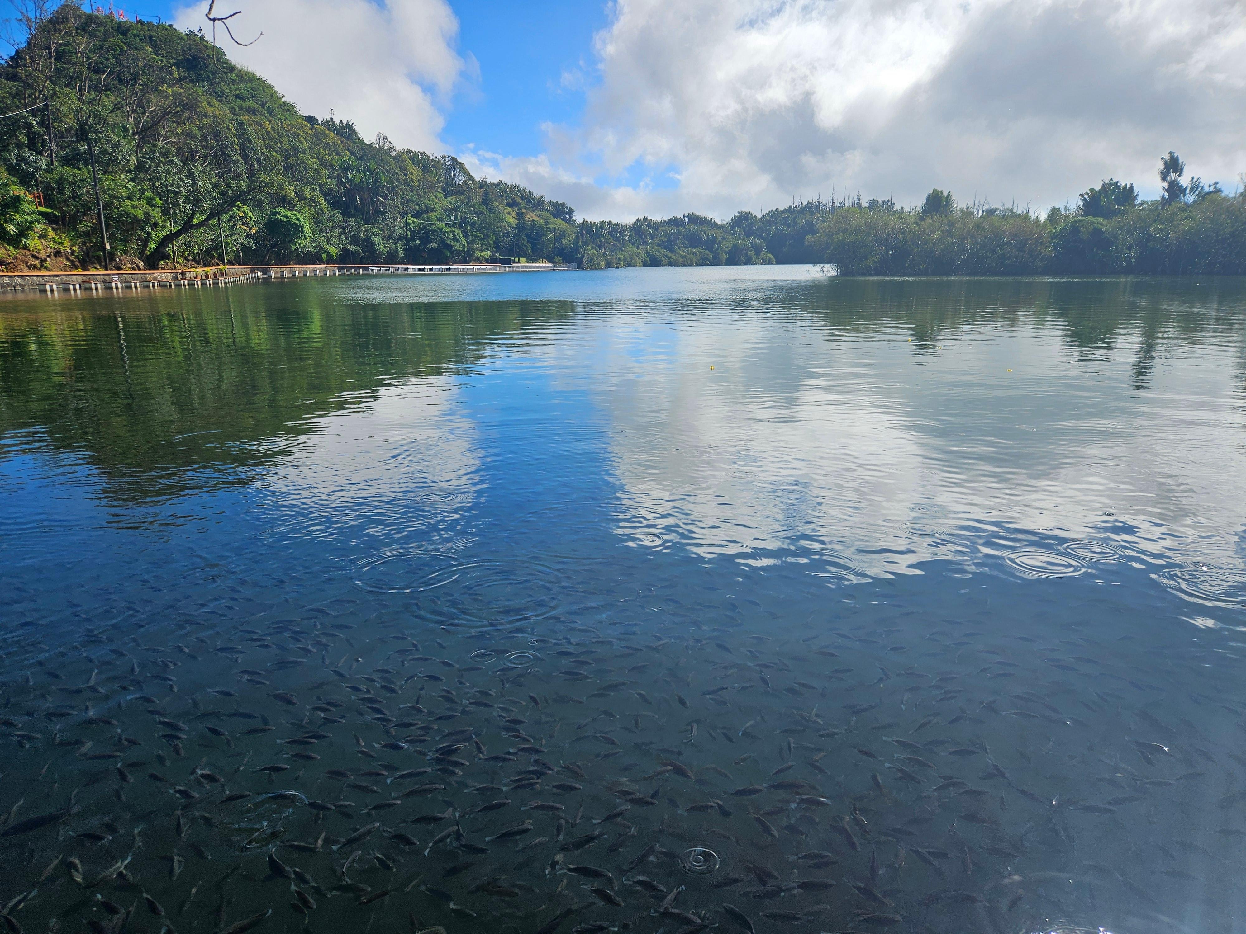 Private Southwest Mauritius: Chamarel & Nature Highlights