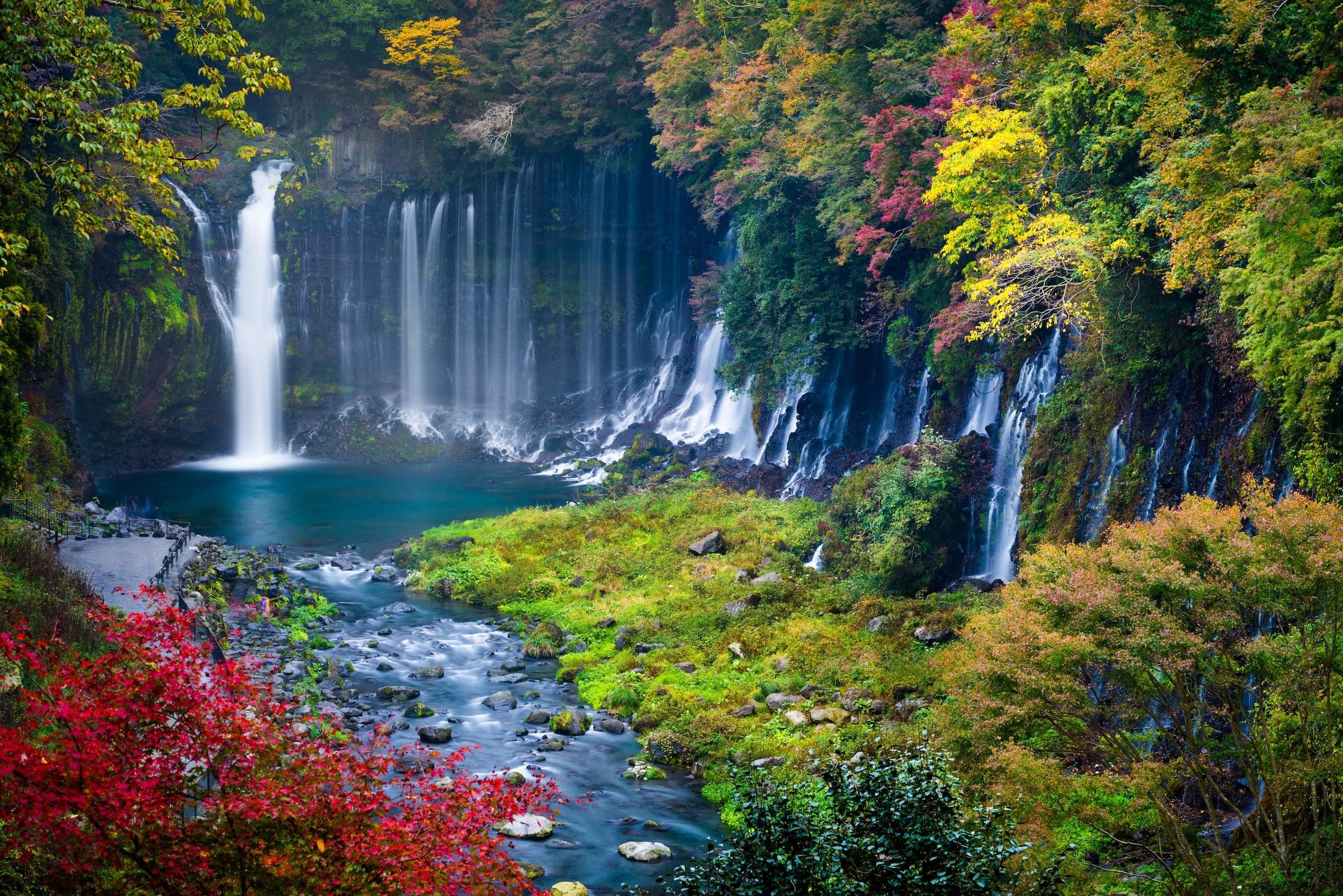 Tokyo Private Day Tour: Fuji Safari Park, Shiraito Falls & Sacred Shrine