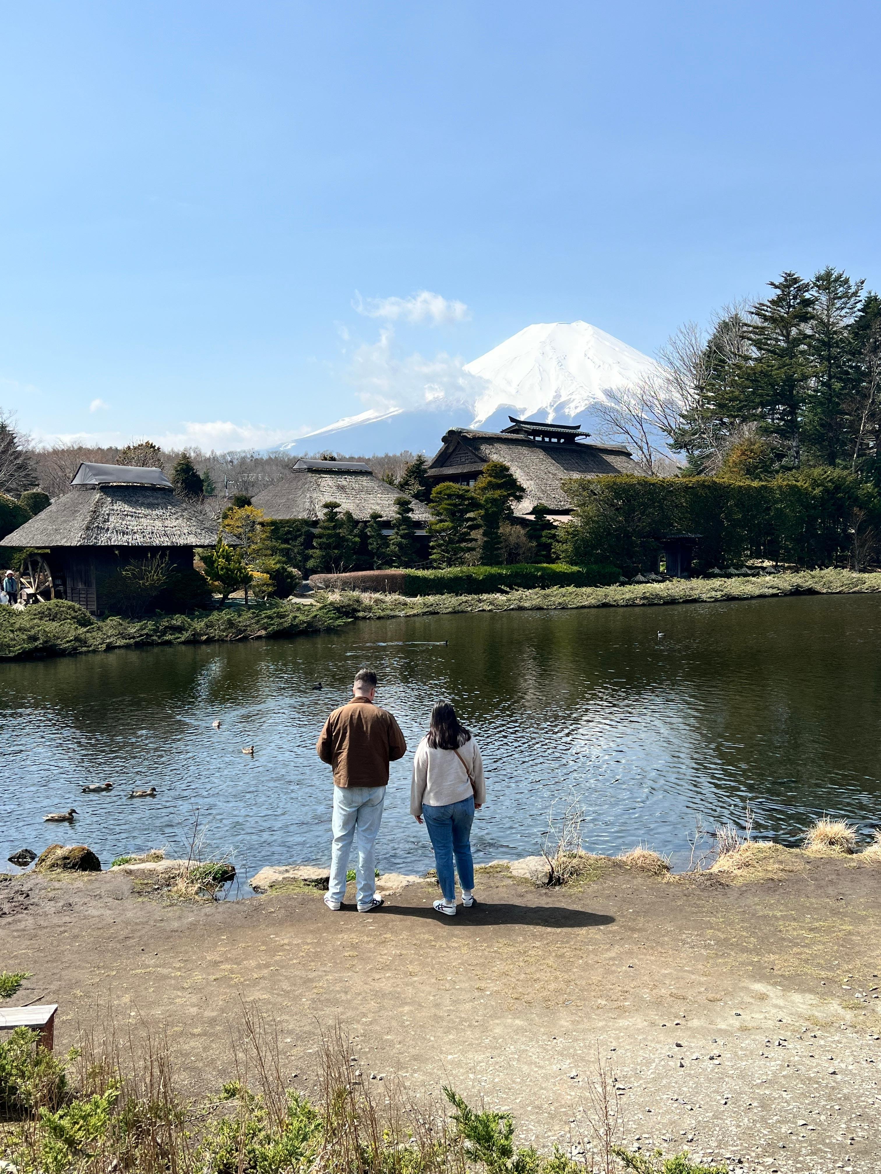 Mount Fuji & Hakone Private Full-Day Tour from Tokyo
