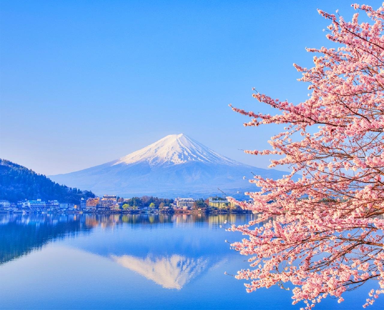 Mt. Fuji & Lake Kawaguchiko Full-Day Tour with Ropeway & Matcha