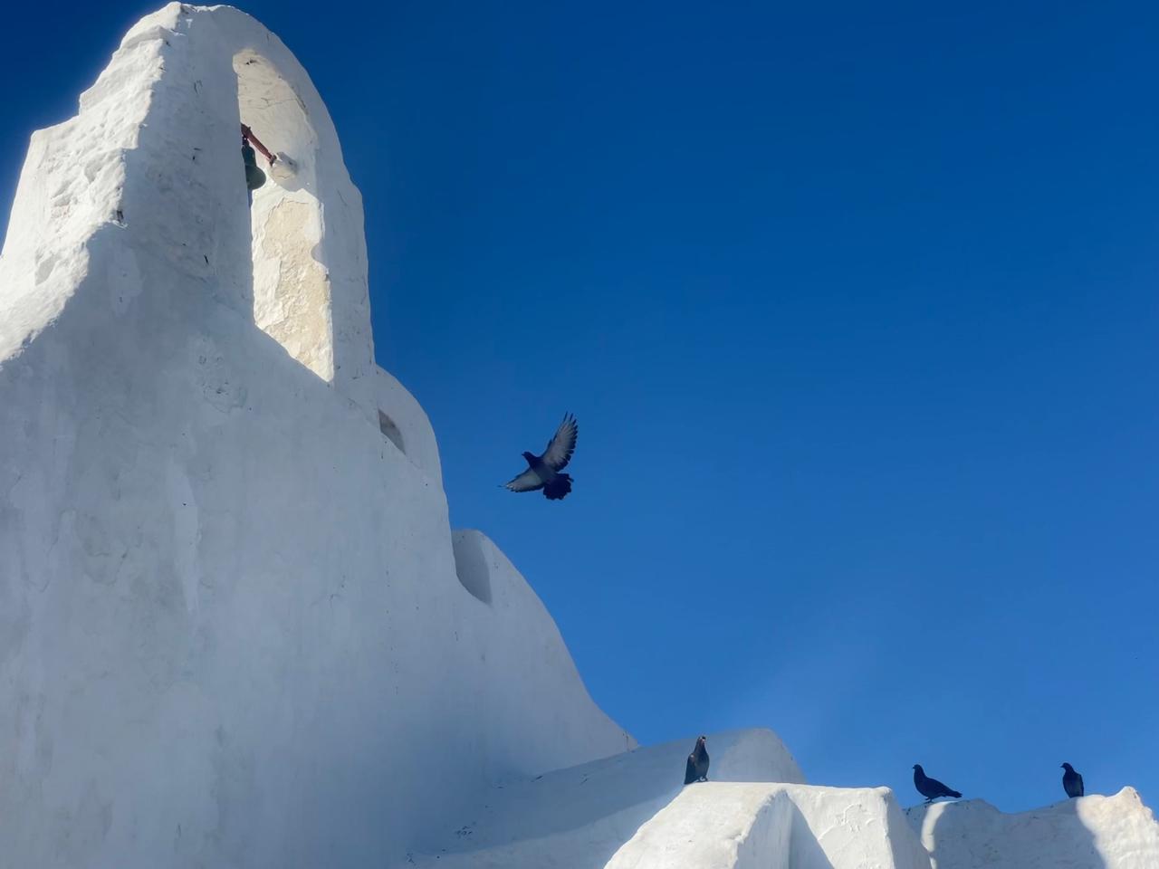 Mykonos Old Town: Aesthetic Secret Alleys & Sunset Photo Tour