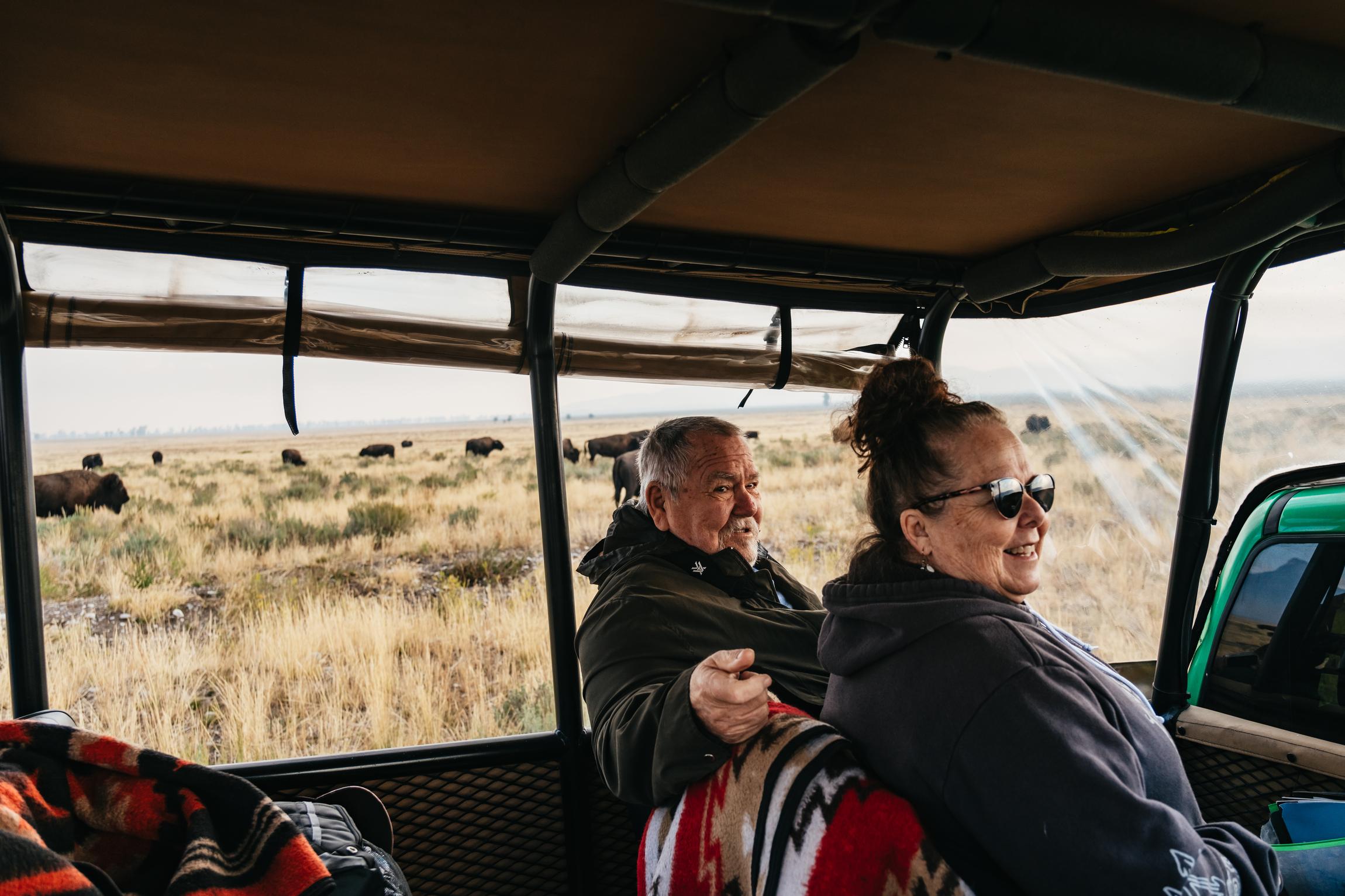 Grand Teton National Park Wildlife Safari