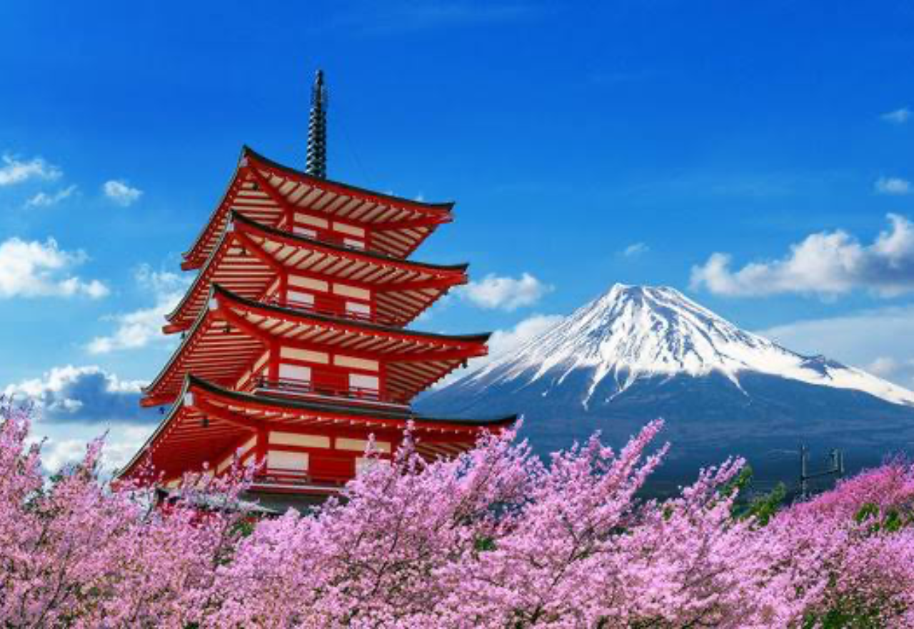Private Mount Fuji & Hakone Guided Day Tour