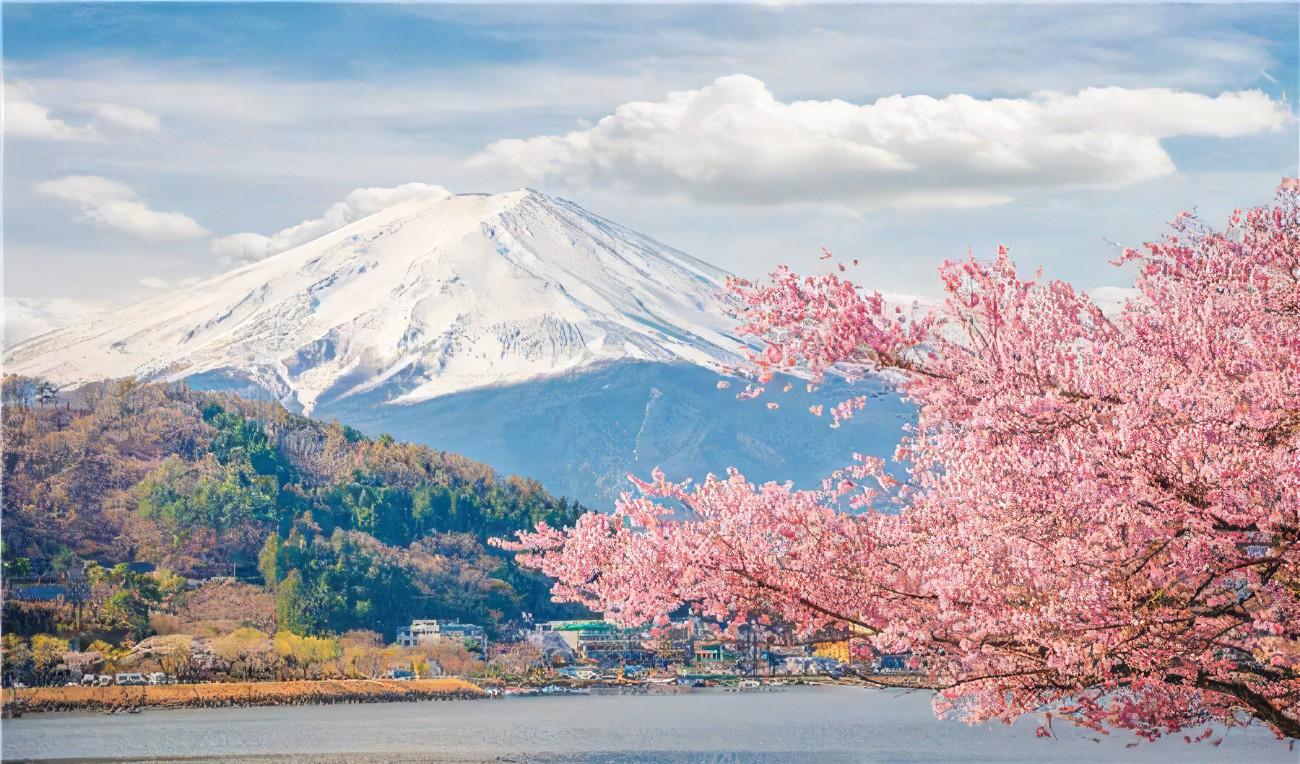 Mt Fuji, Chureito Pagoda & Lake Kawaguchi Full-Day Tour from Tokyo