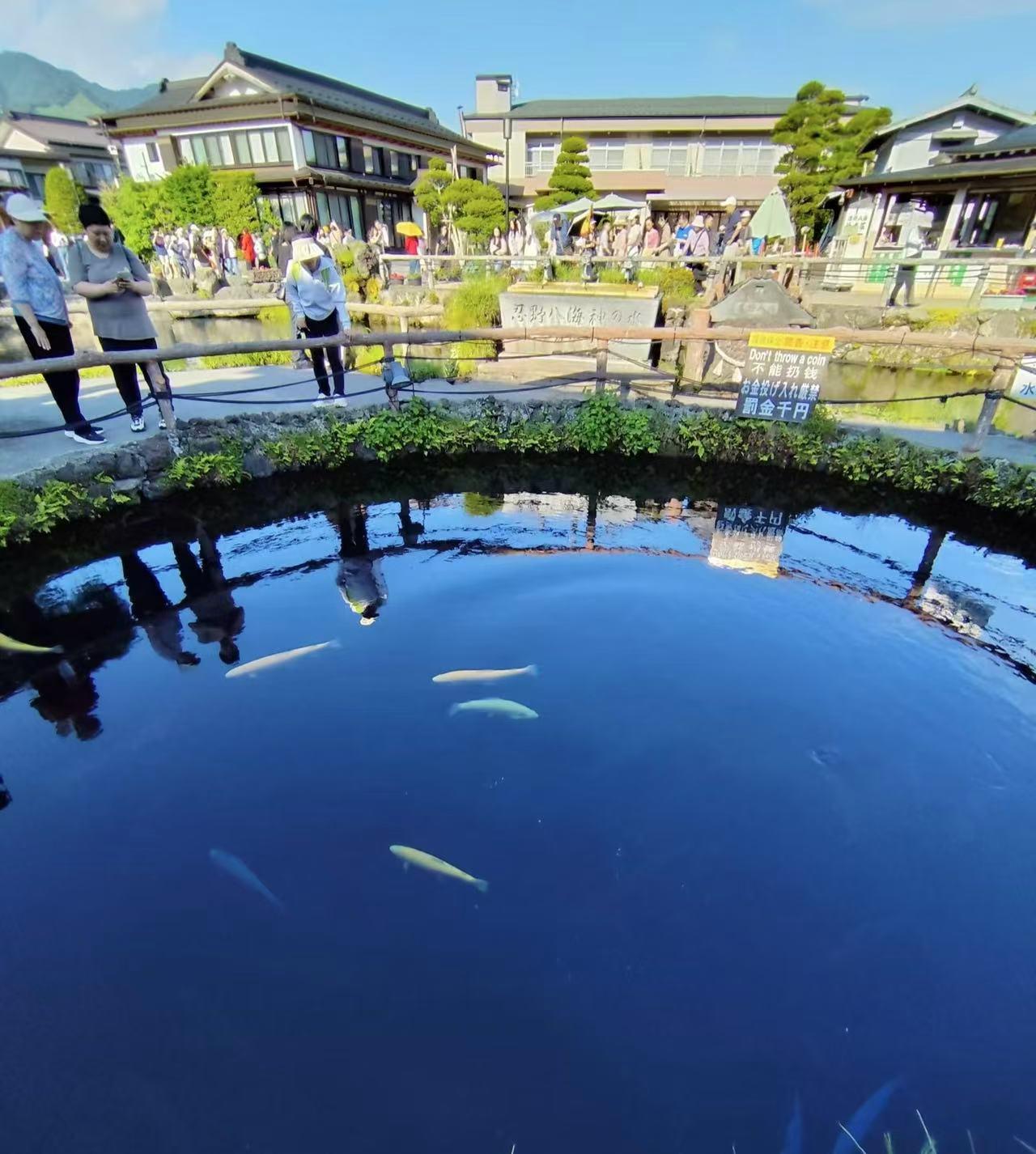 Mount Fuji Day Trip: Scenic Parks, Springs, and Photo Hotspots