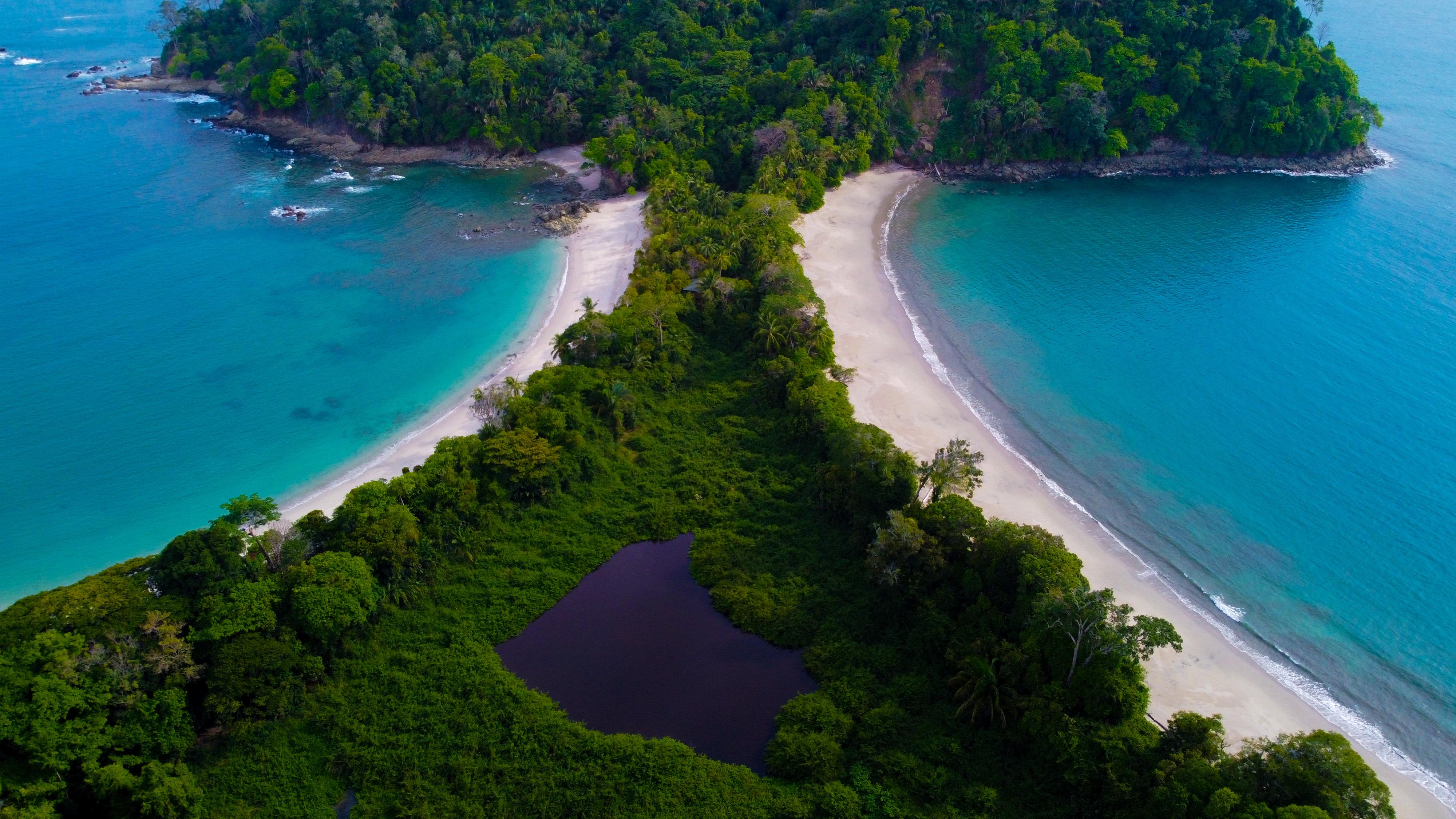 Manuel Antonio National Park: Expert-Guided Wildlife & Beach Tour