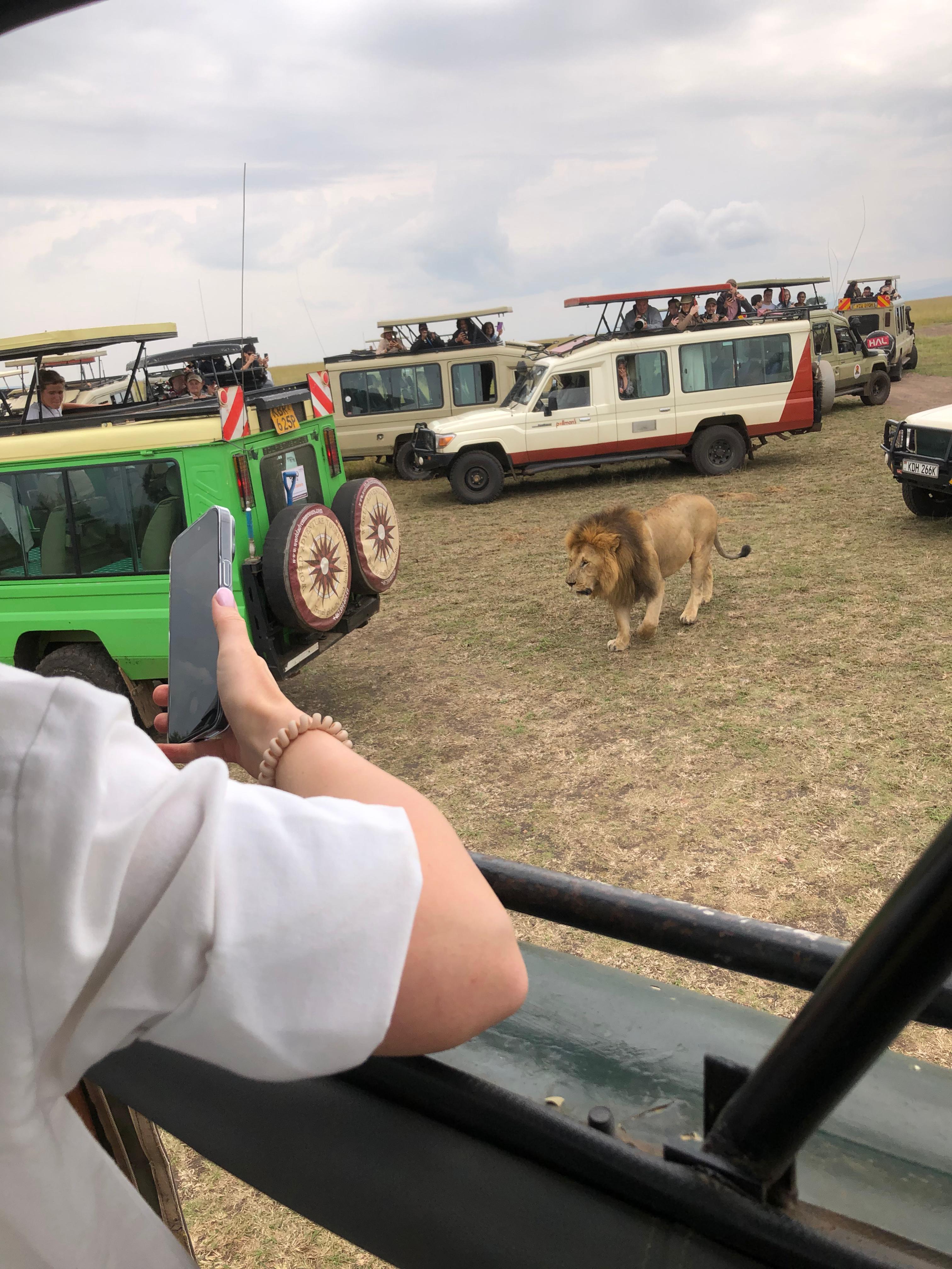 Maasai Mara Express: 1-Day Safari from Nairobi