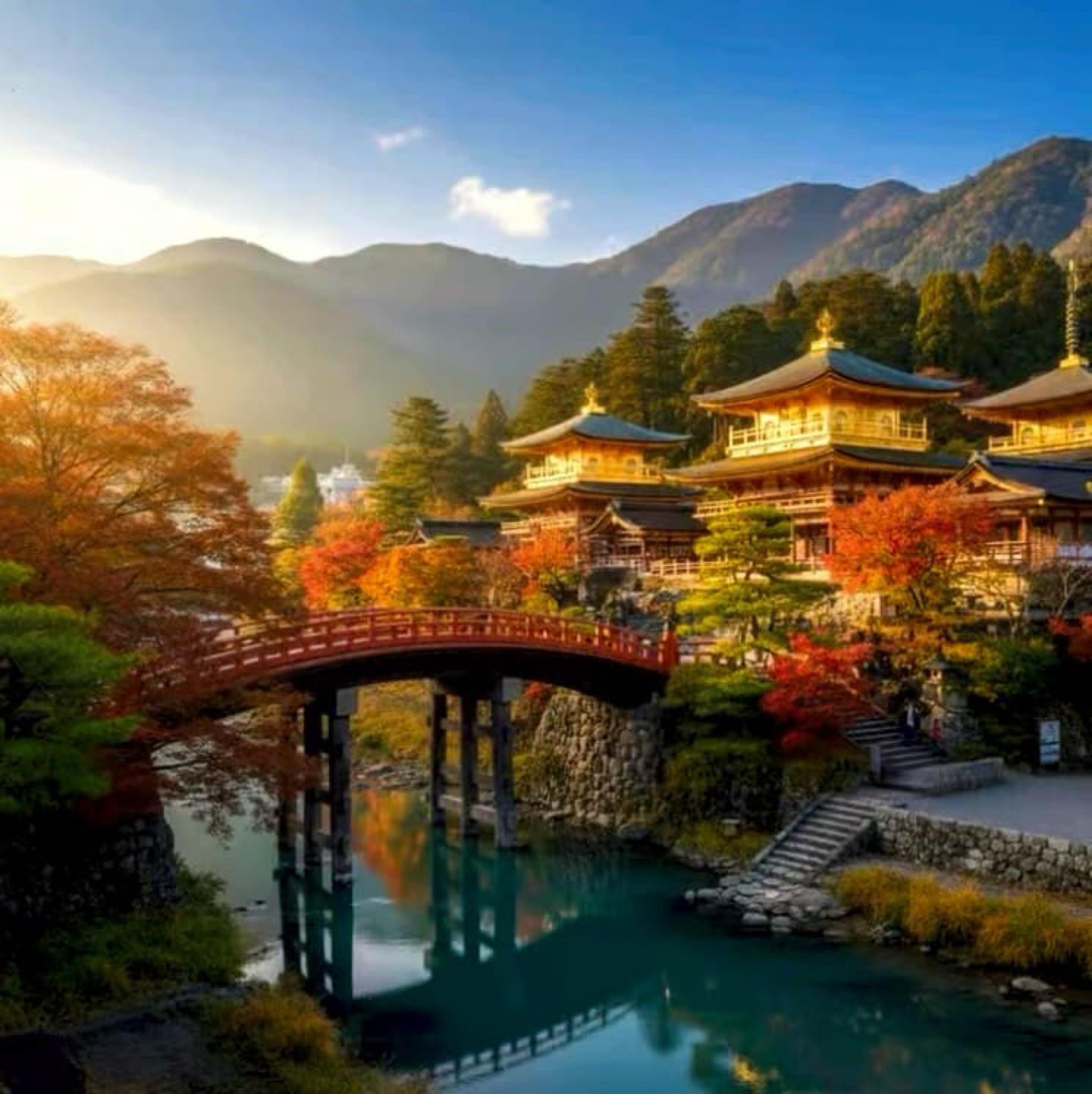 Nikko Photography Day Tour from Tokyo – Private & Customizable