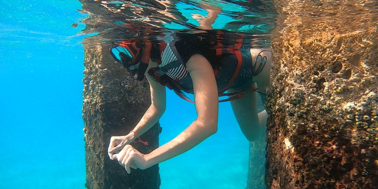 San Juan Shore Snorkeling with Turtles & Free Videos