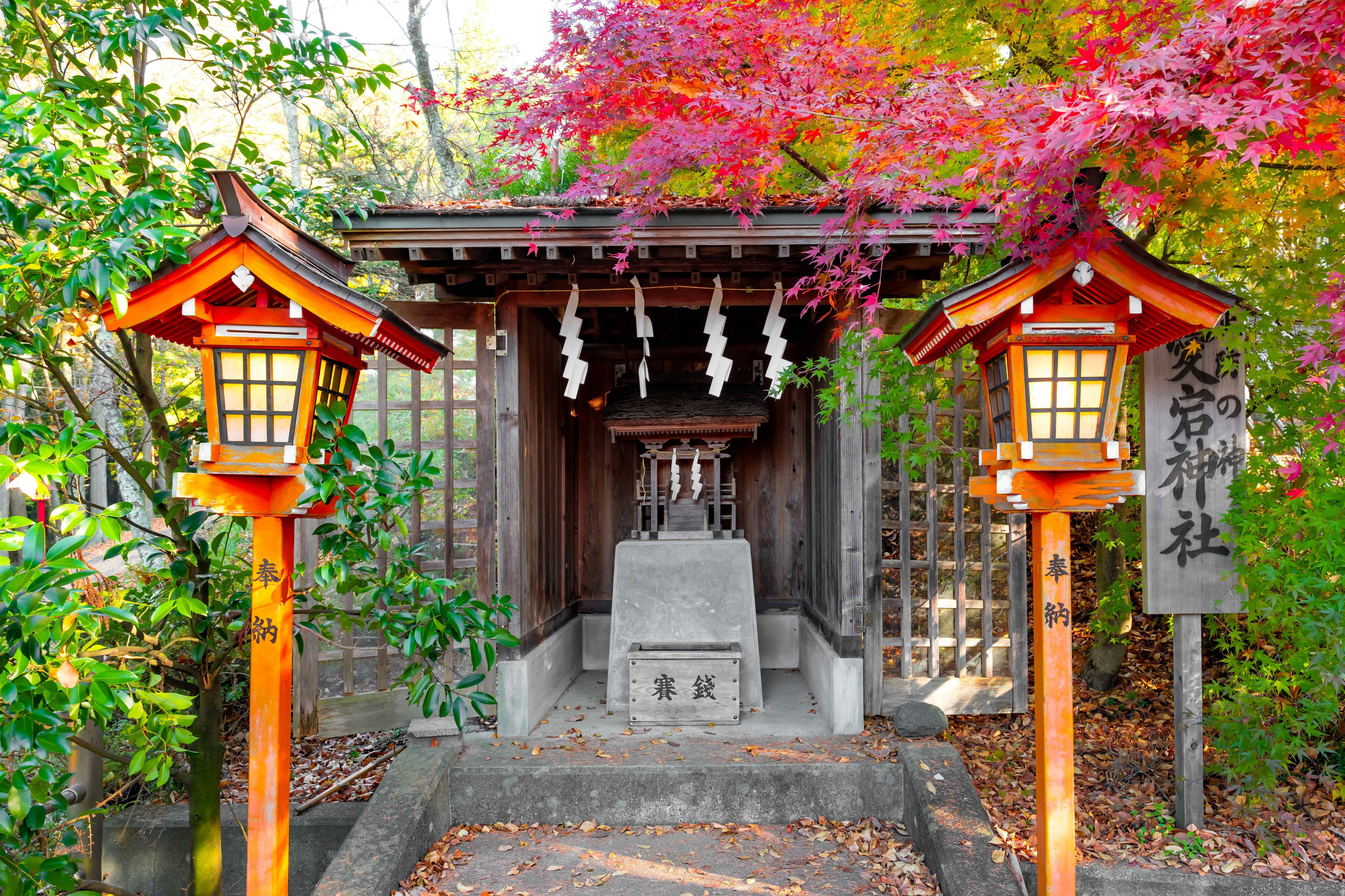 Mount Fuji Full-Day Tour from Tokyo: Two Routes, One Iconic Mountain