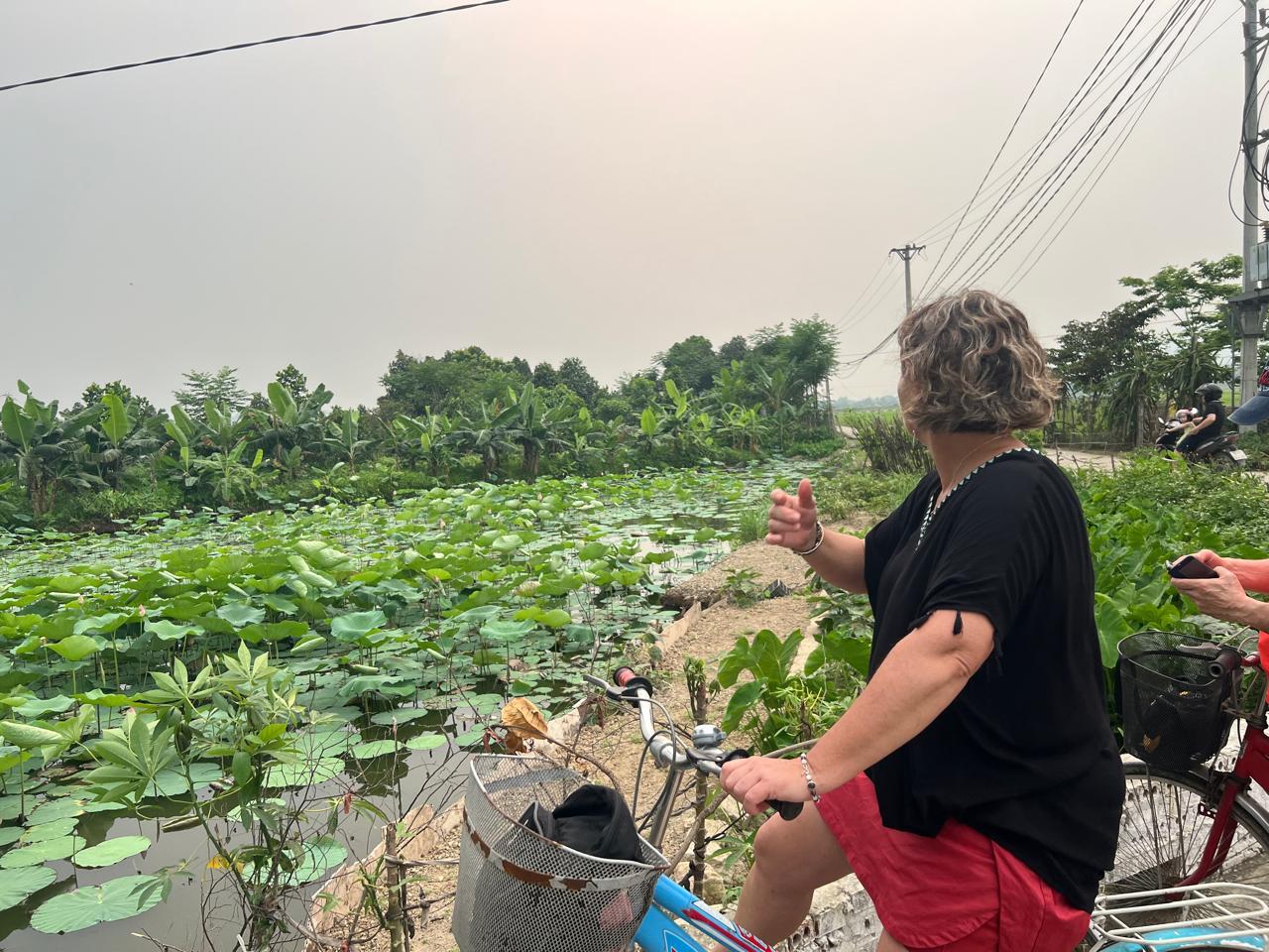Hanoi to Ninh Binh: Hoa Lu, Trang An & Mua Cave Day Tour