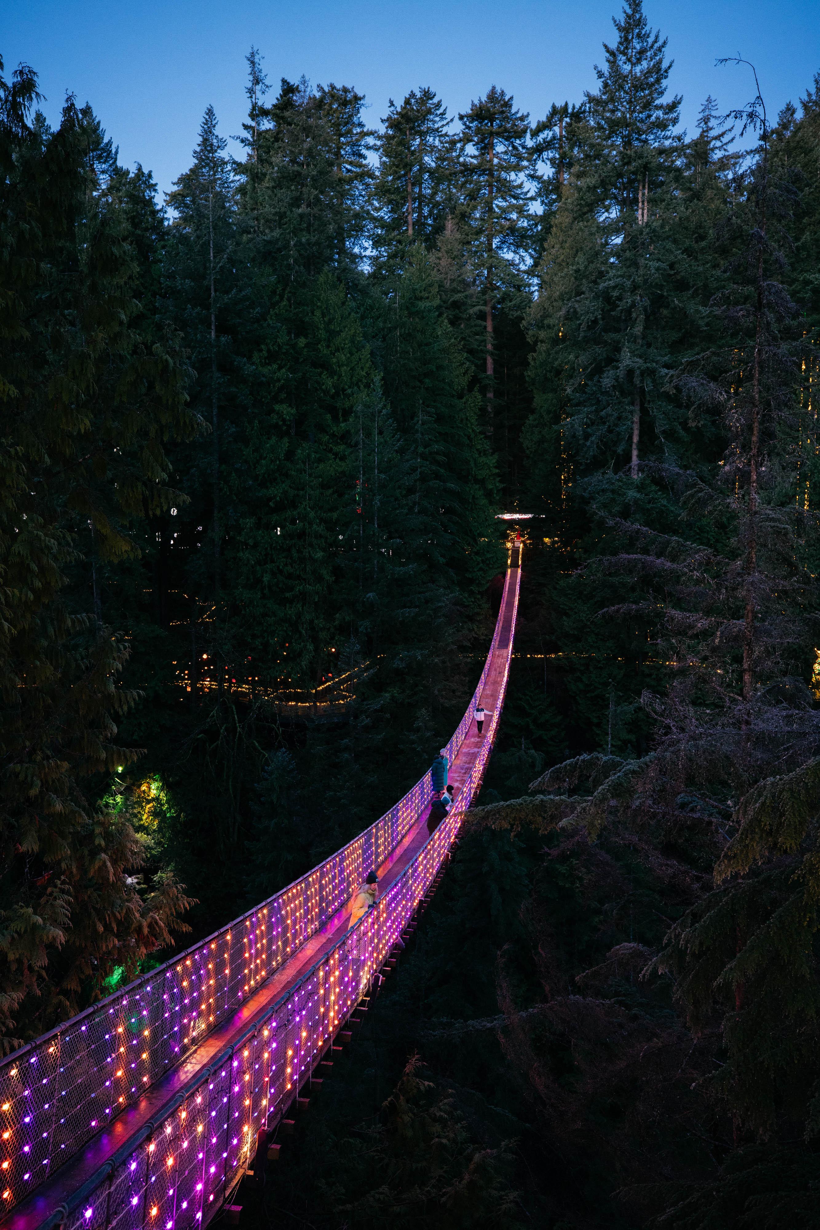 Capilano Suspension Bridge Park Entry