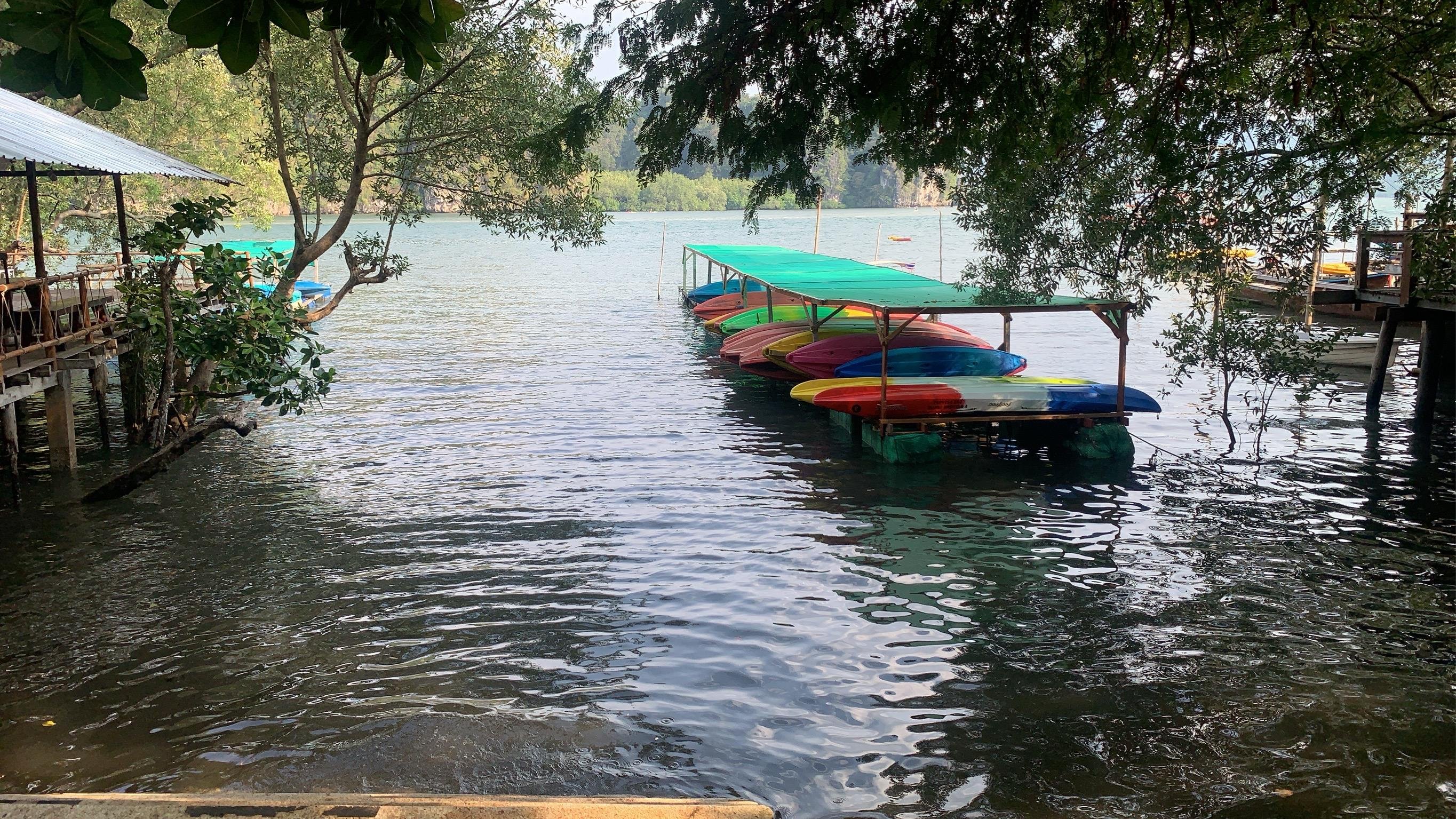 Ao Thalane Mangrove Kayaking Adventure with Hotel Pickup