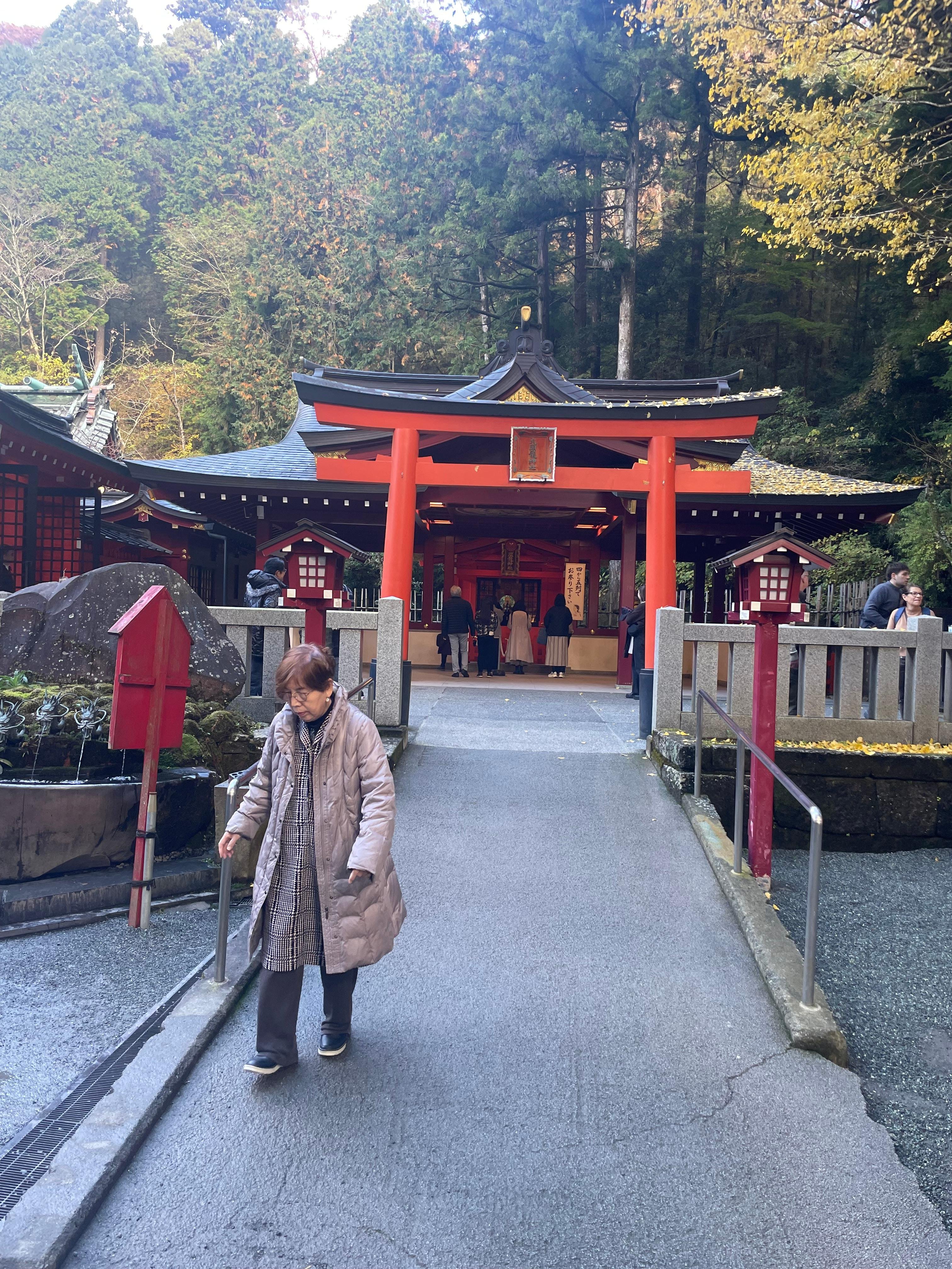 Hakone Private Full-Day Tour from Tokyo
